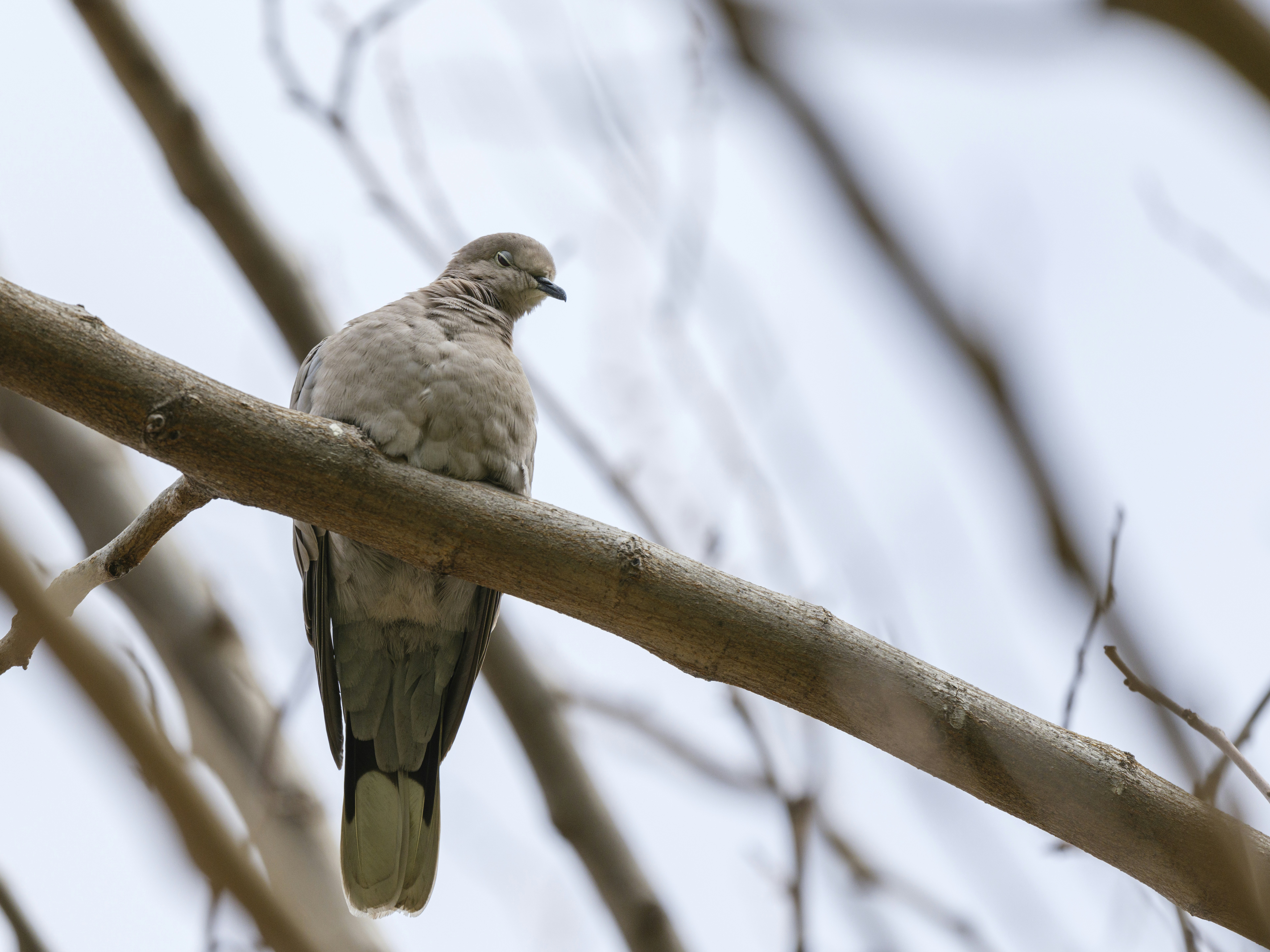 Photo by enginakyurt
