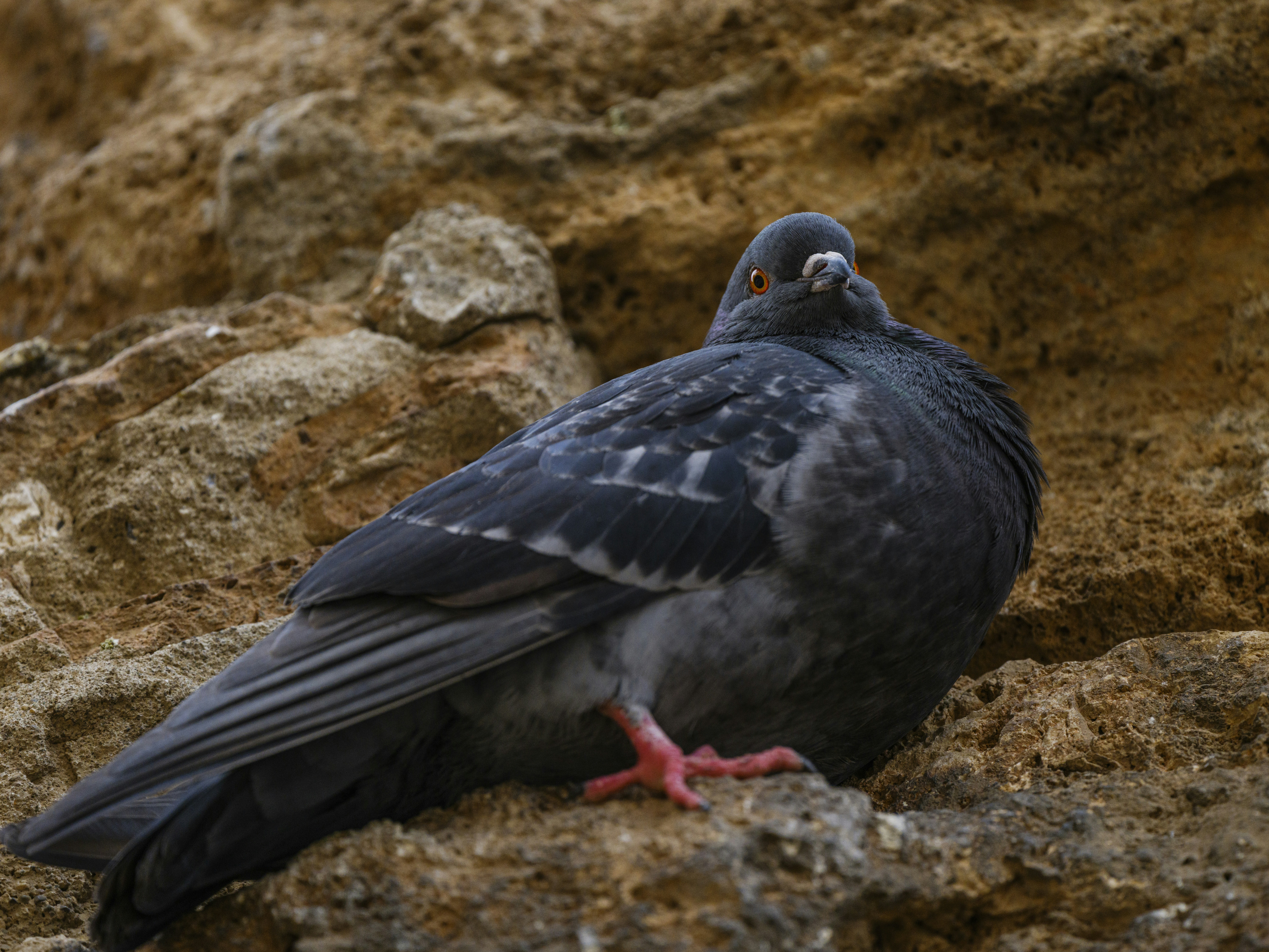 Photo by enginakyurt