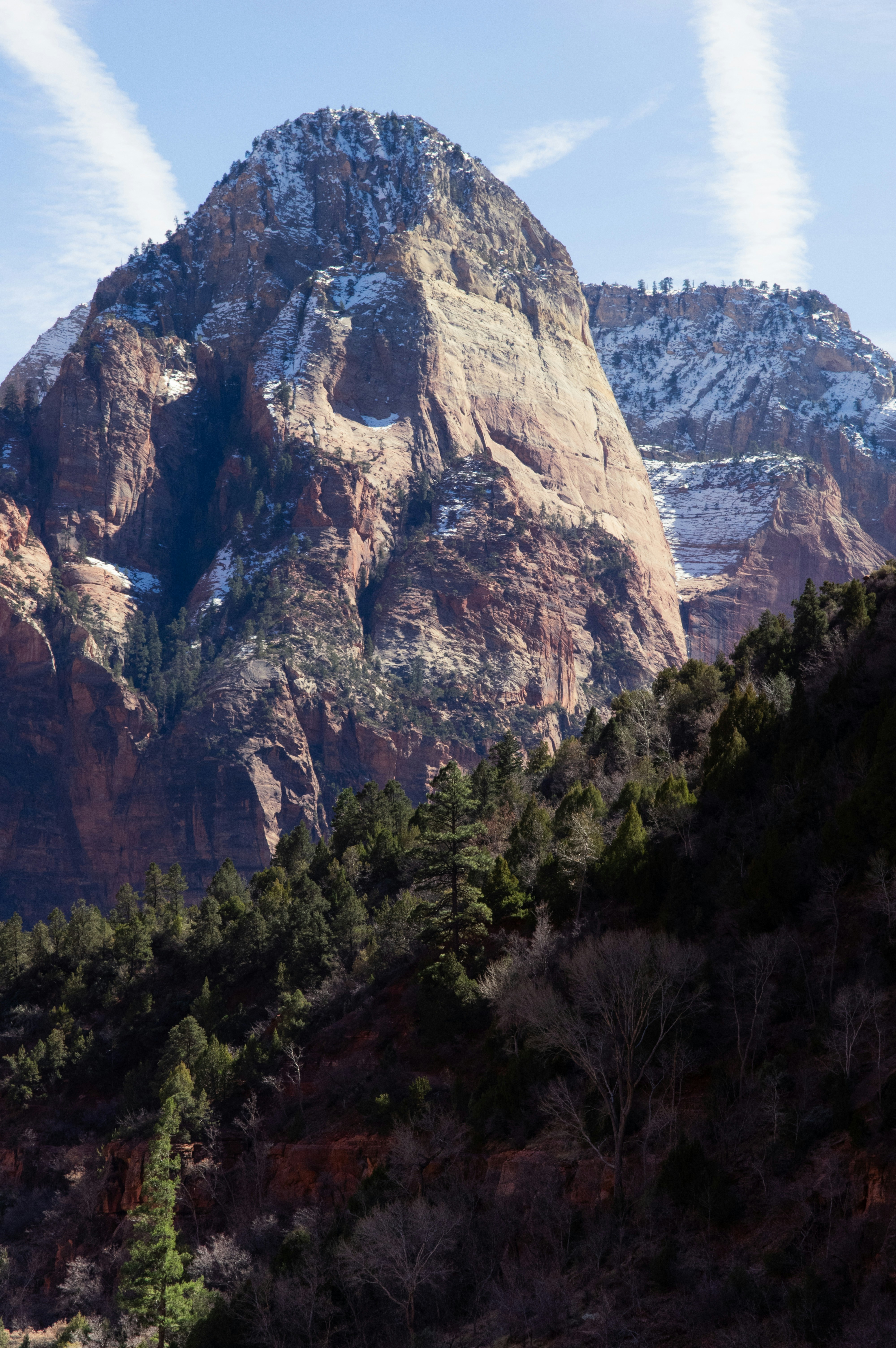 Photo by bronsonvalley