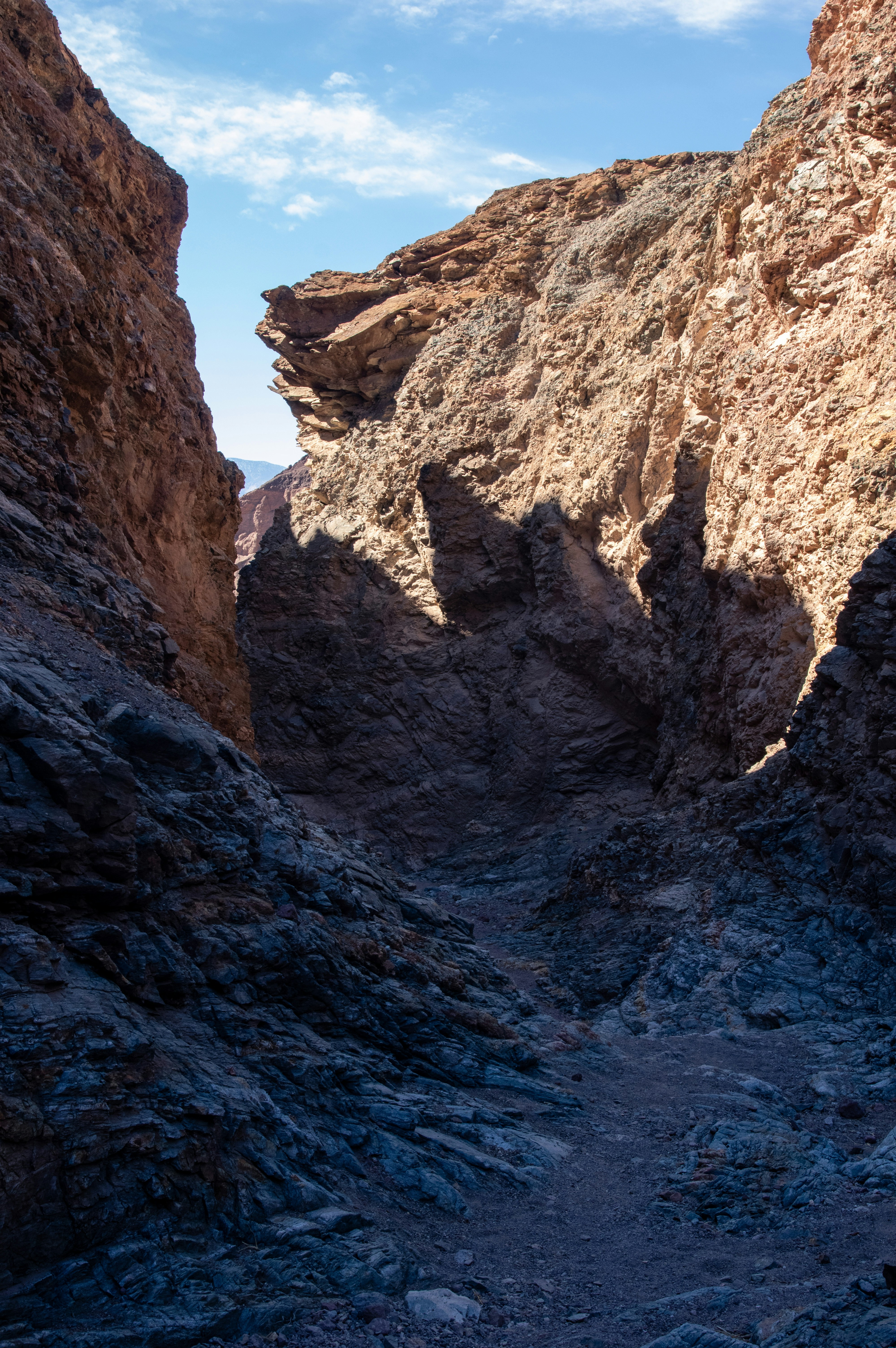 Photo by bronsonvalley