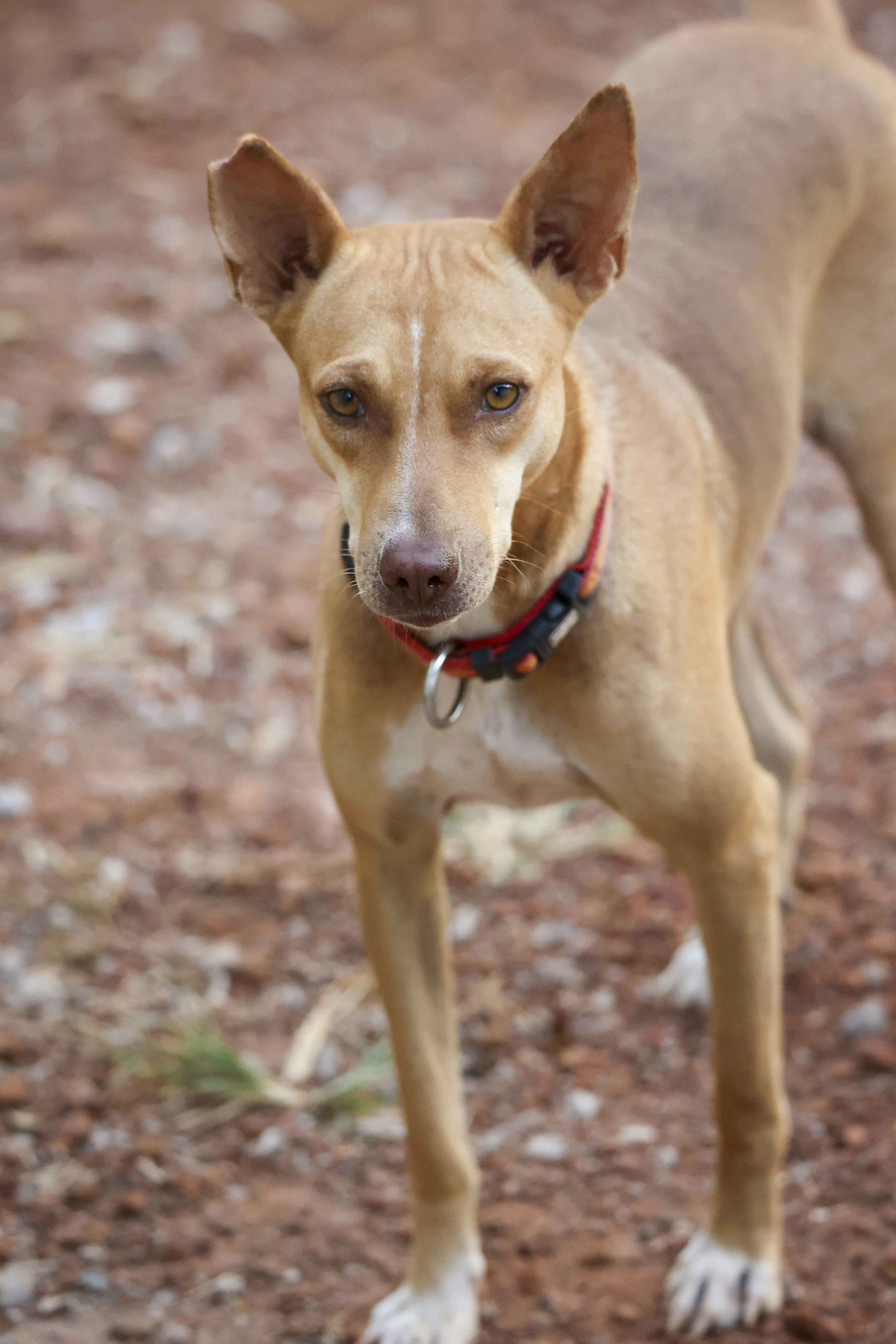 Photo by schocko_chantalle