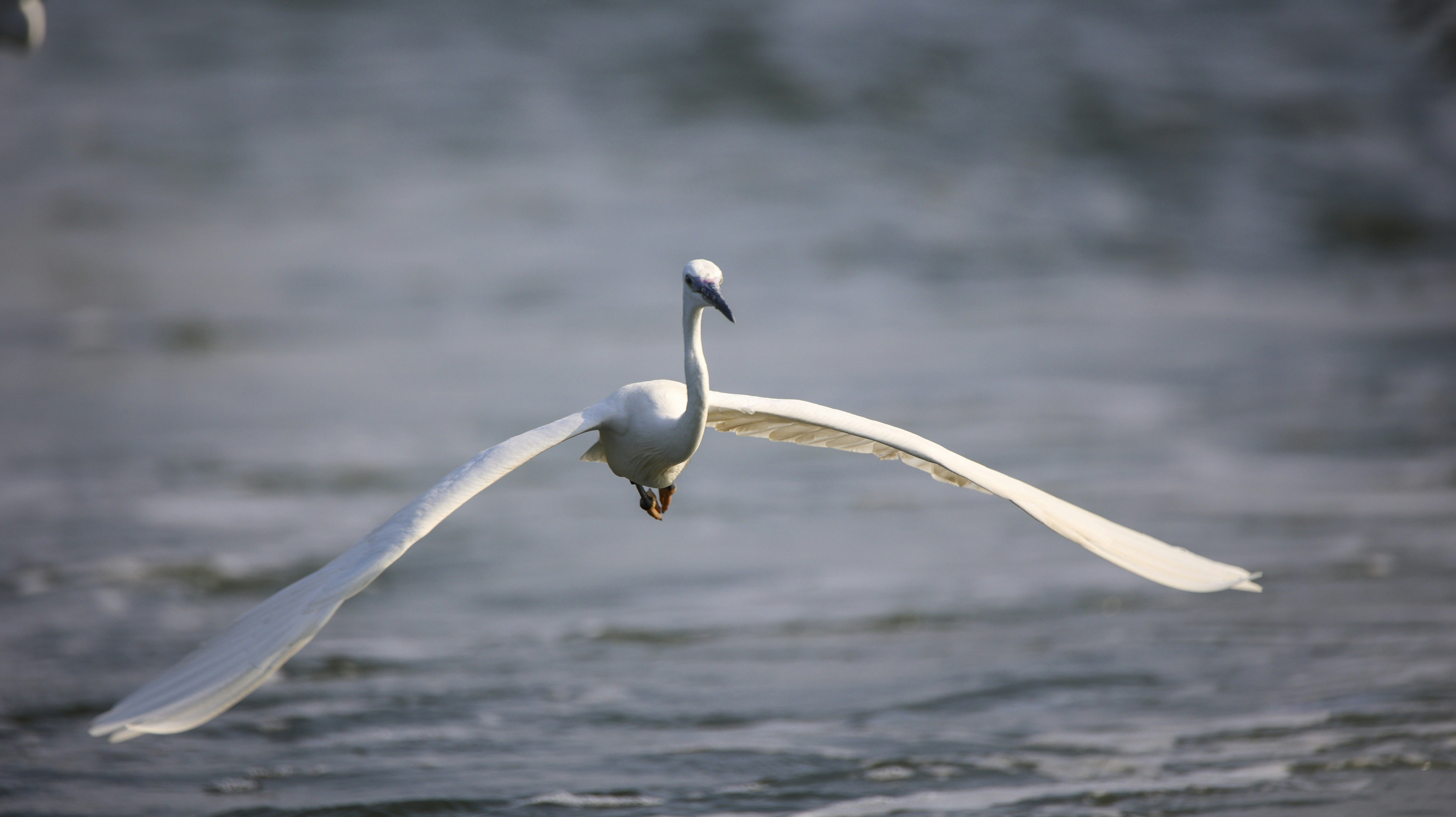 Photo by schocko_chantalle