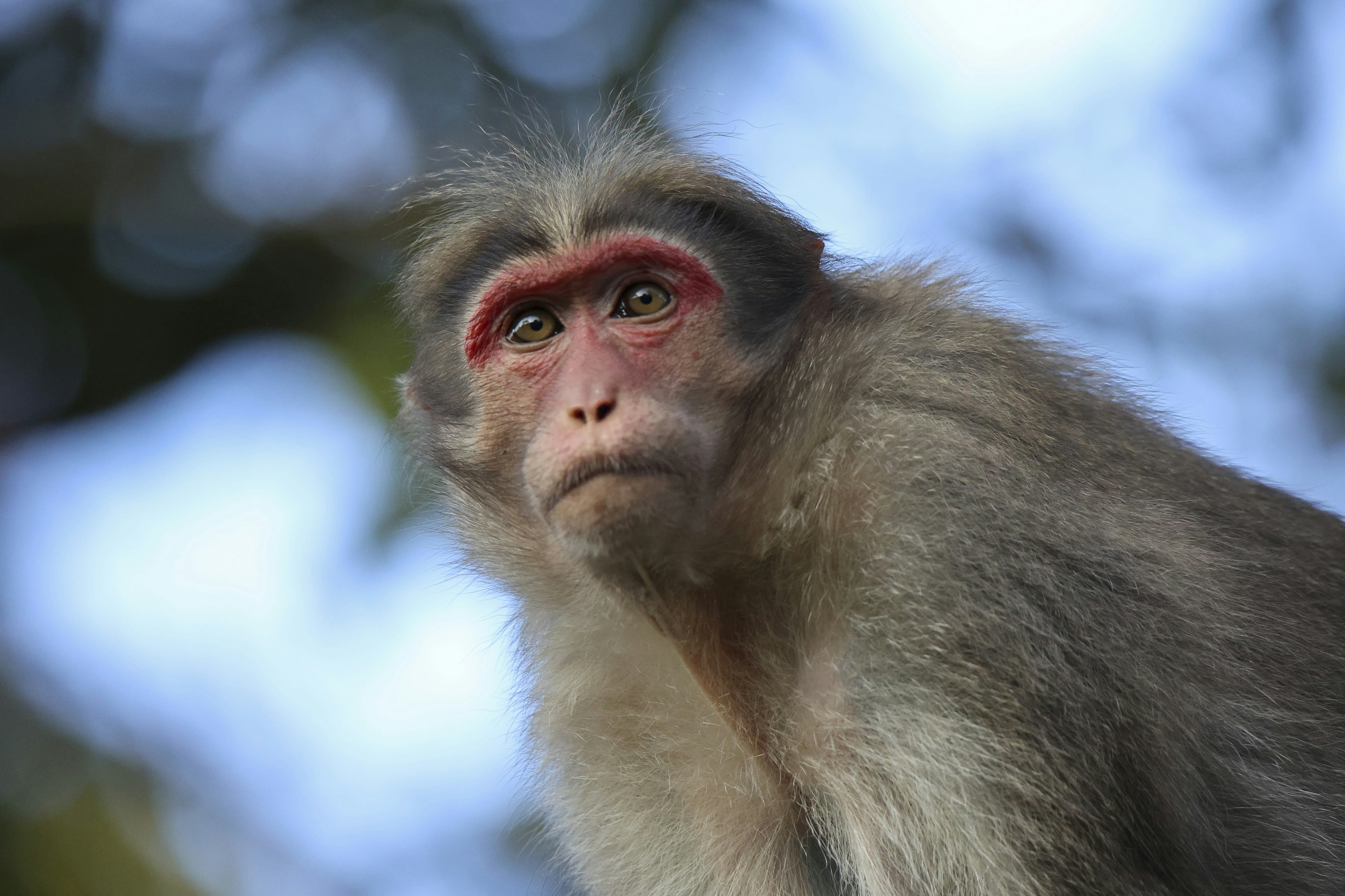 Photo by schocko_chantalle