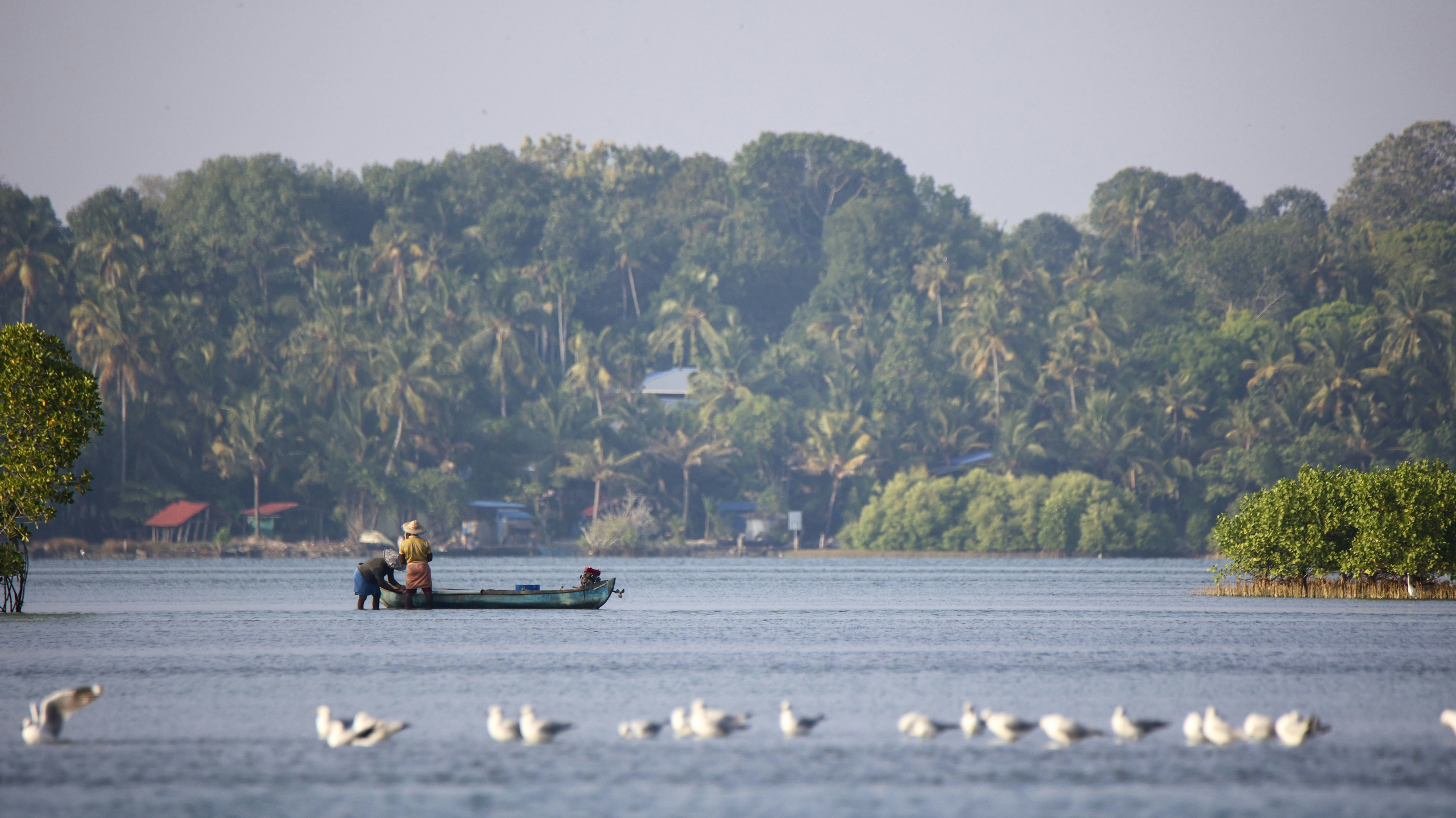 A boat travels across calm waters towards a forest.