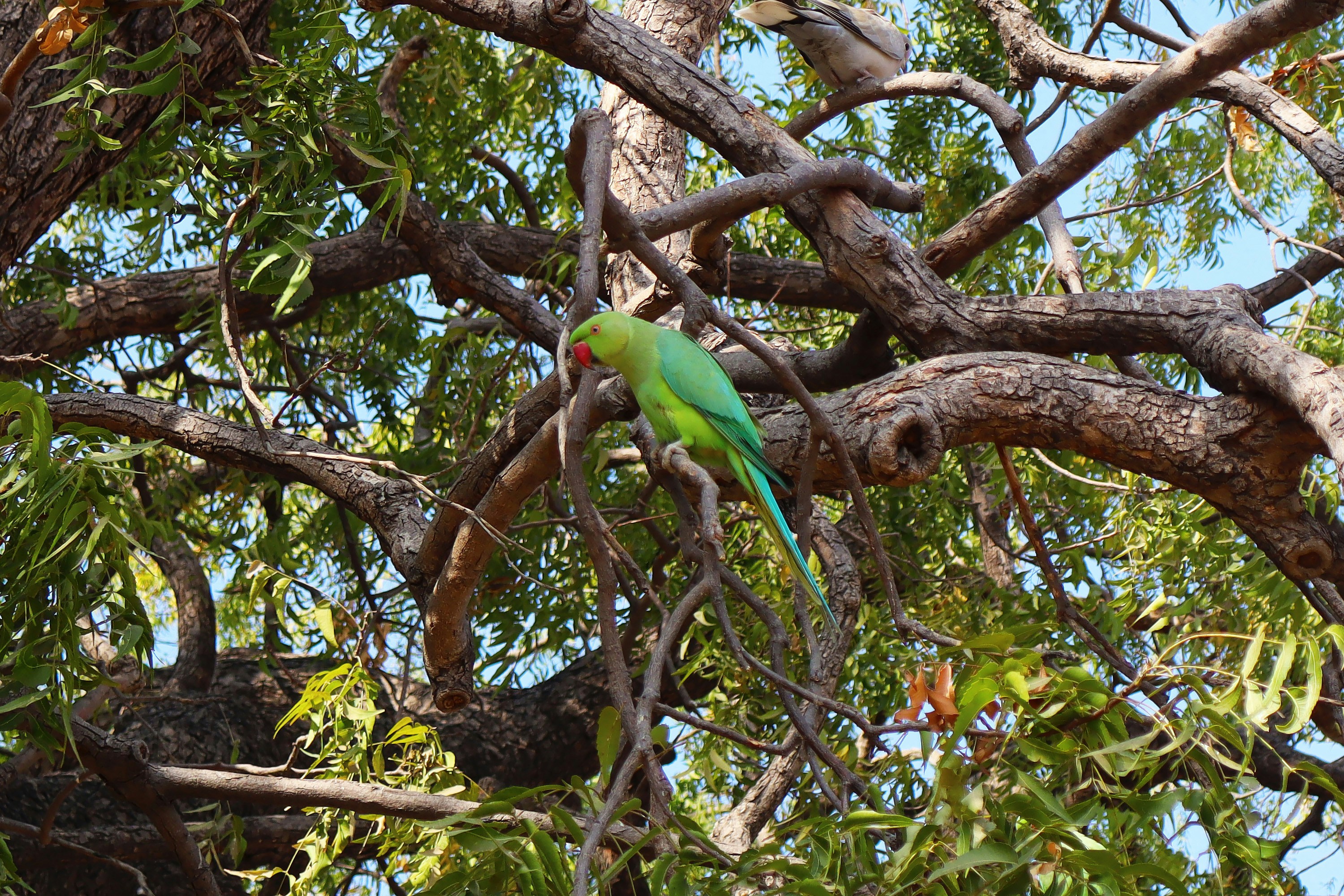 Photo by mirnawabisabi