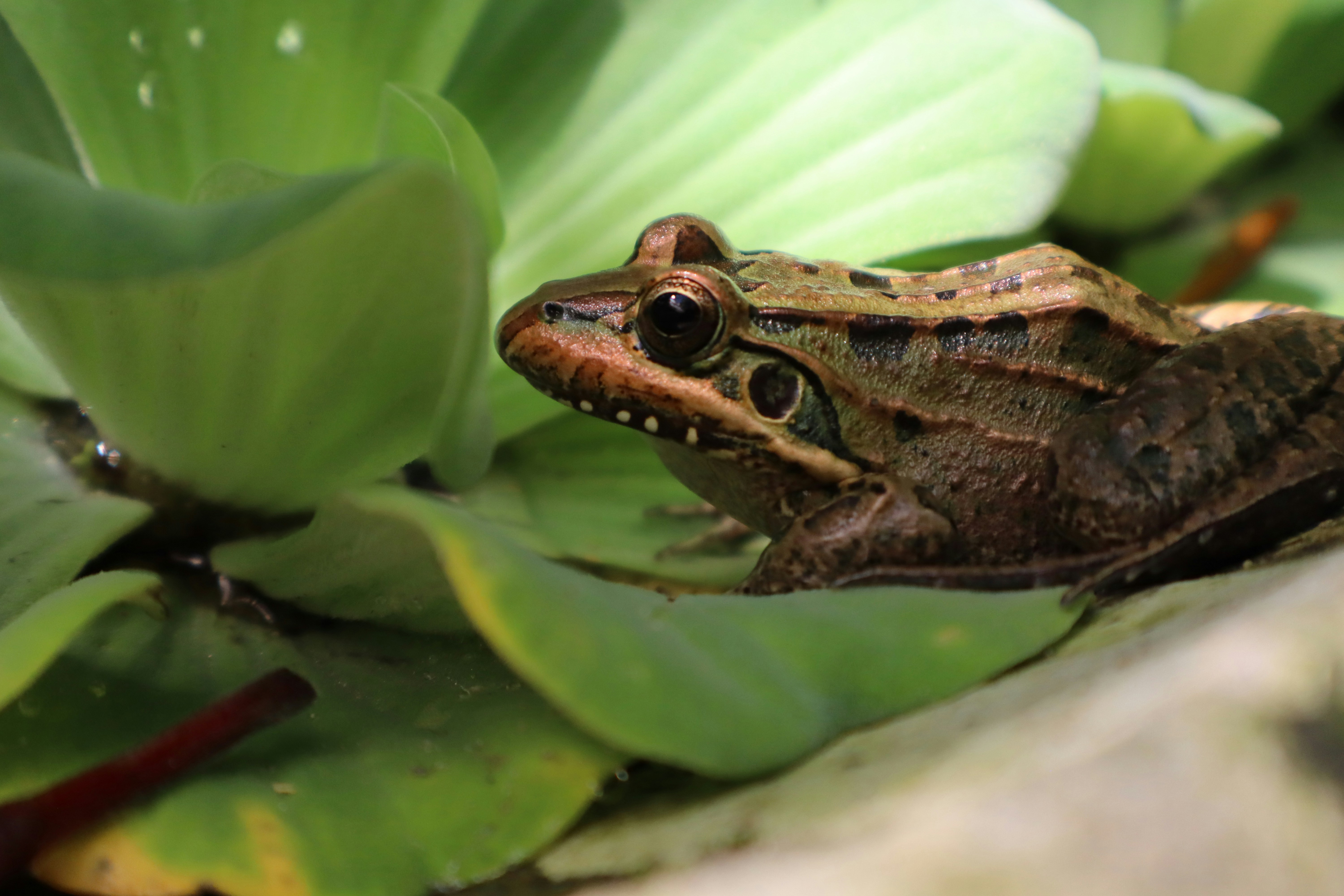 Photo by mirnawabisabi