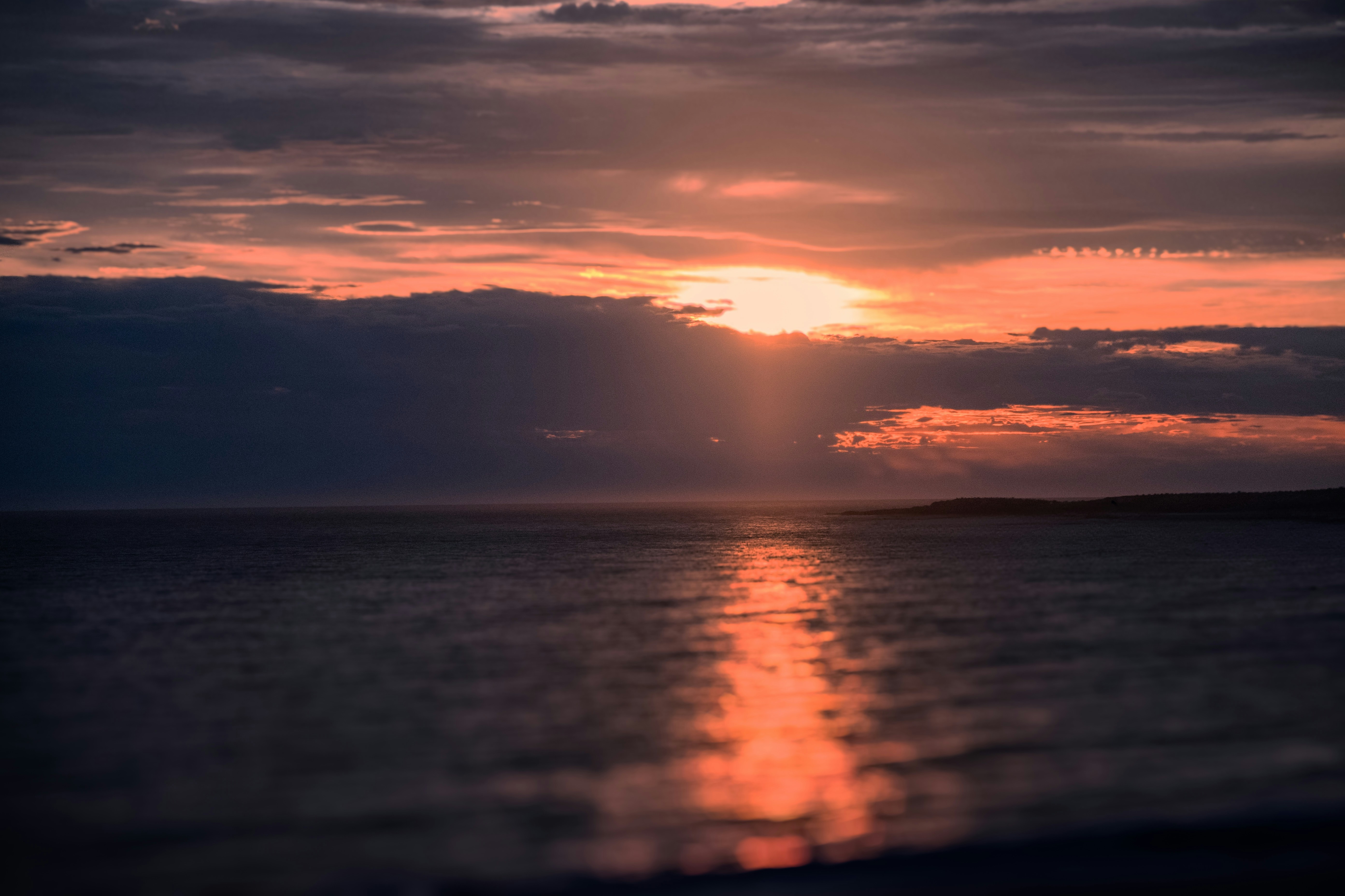 Photo by baltasarhenderson