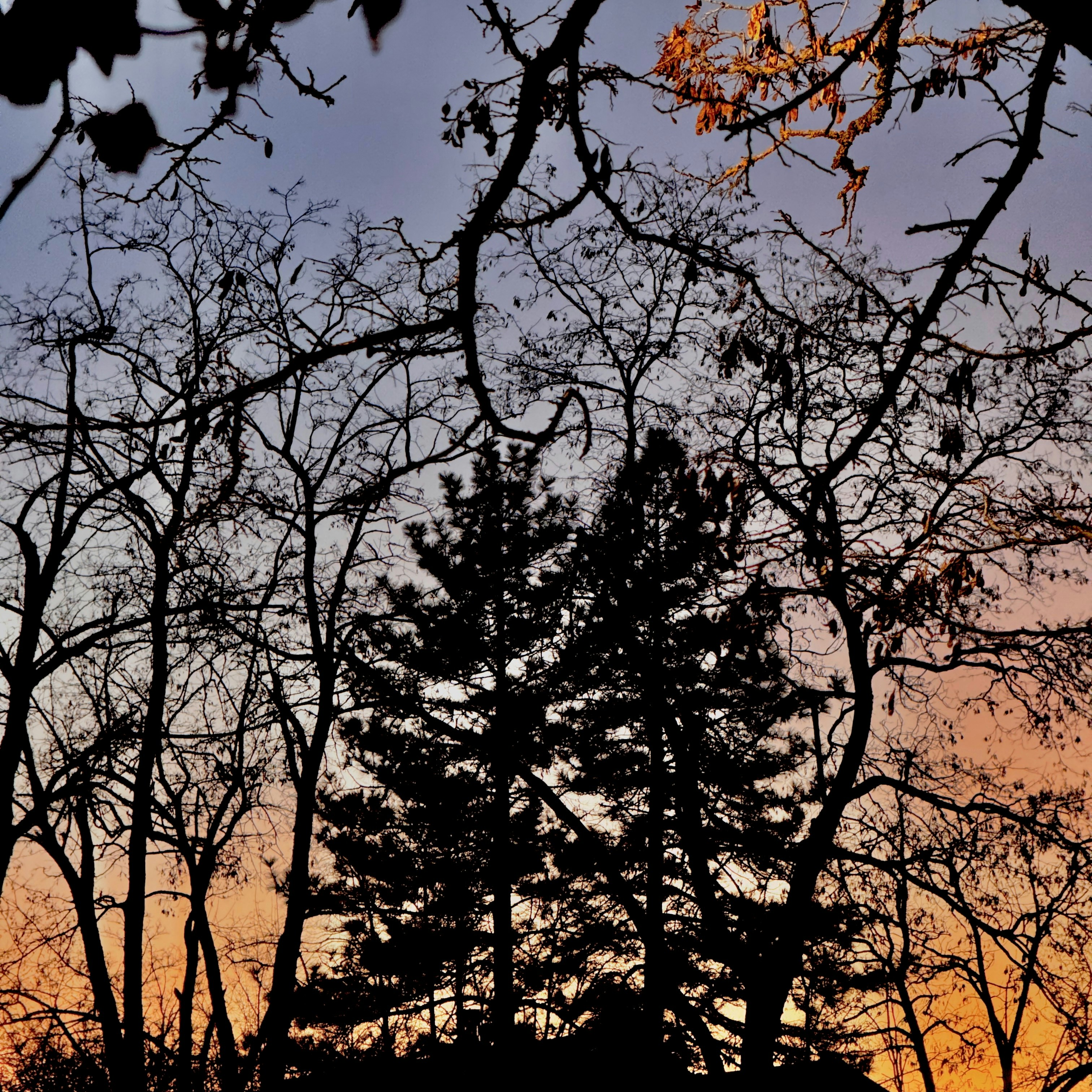 Photo by justinaudia