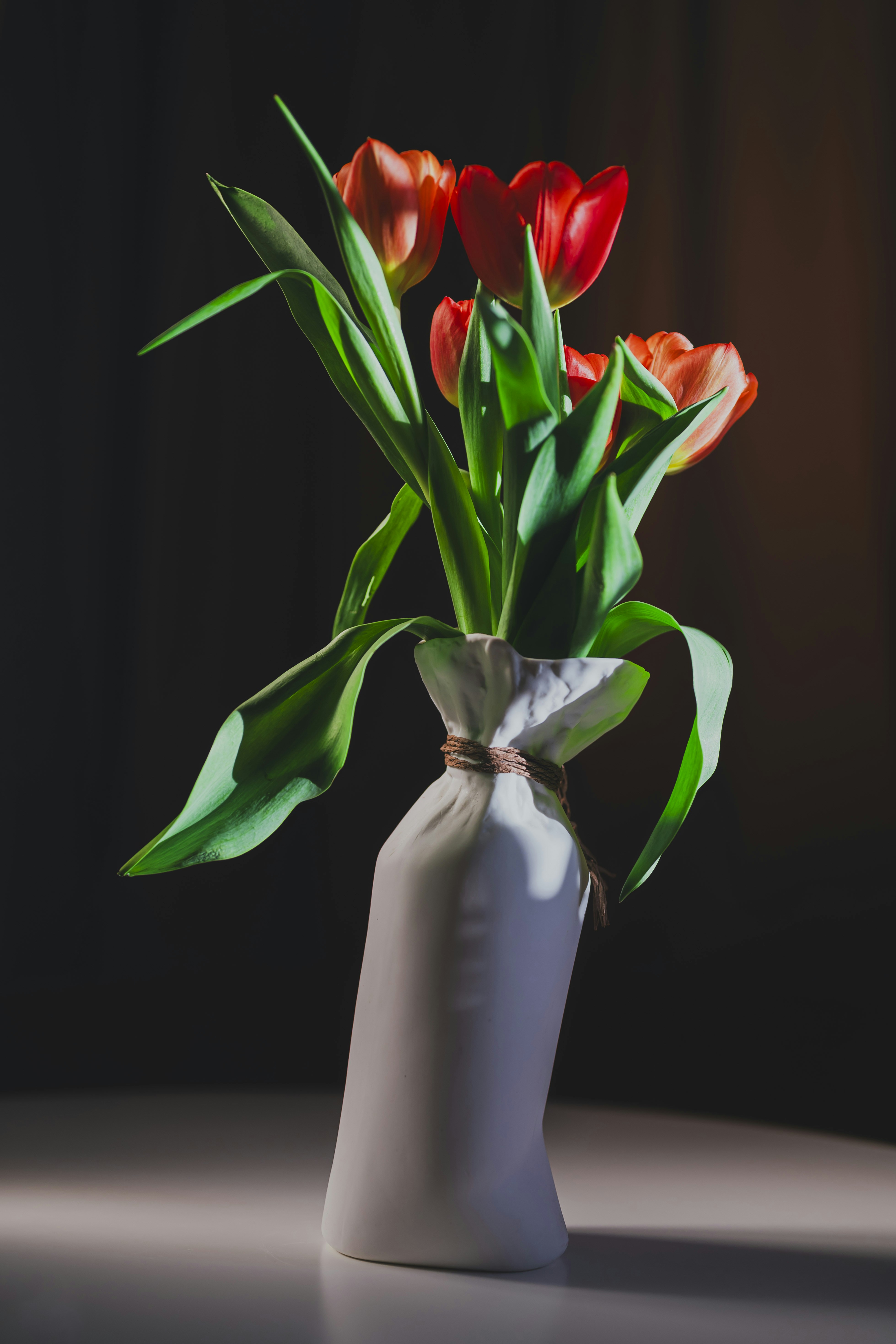 Photo by vonshnauzer