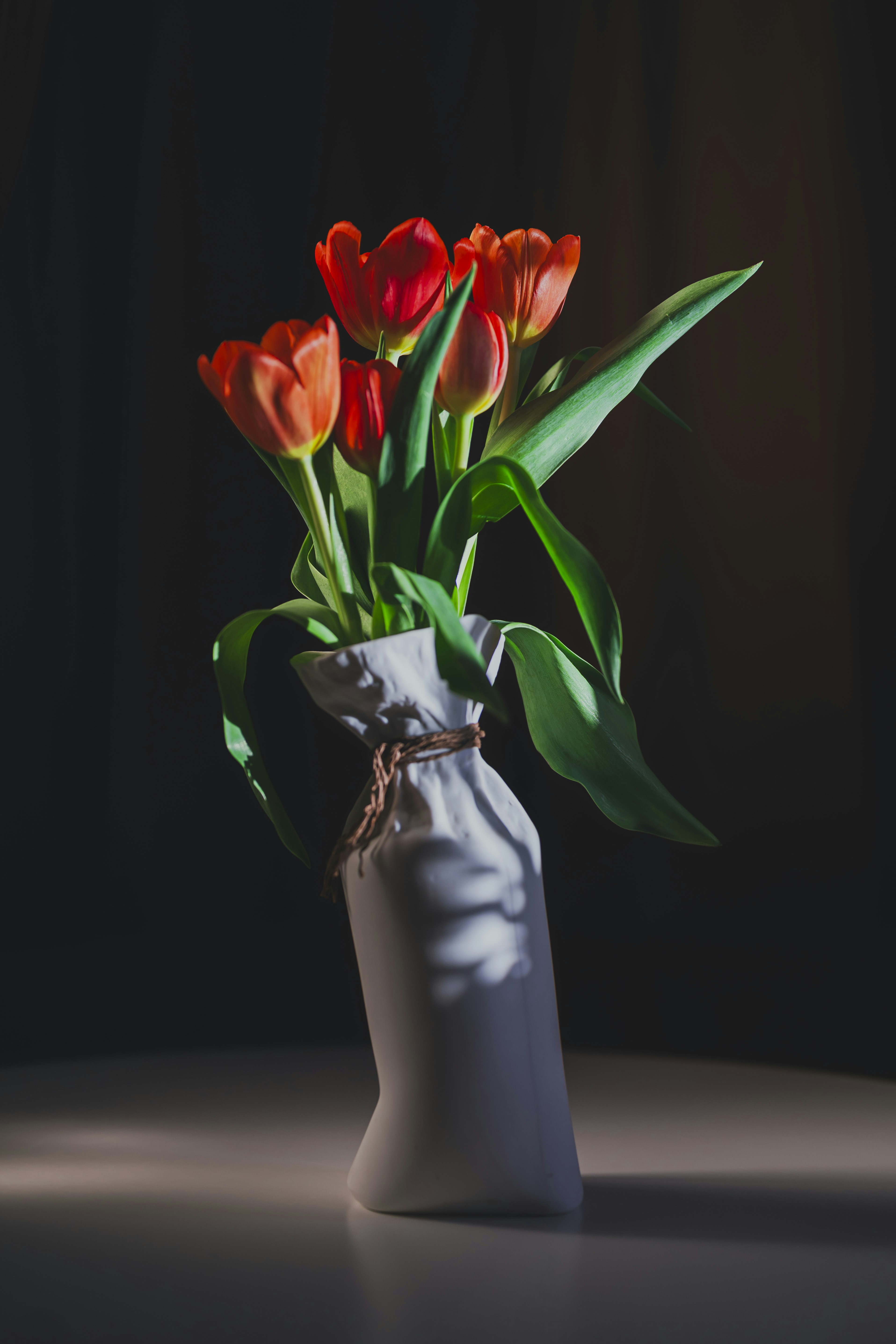 Photo by vonshnauzer