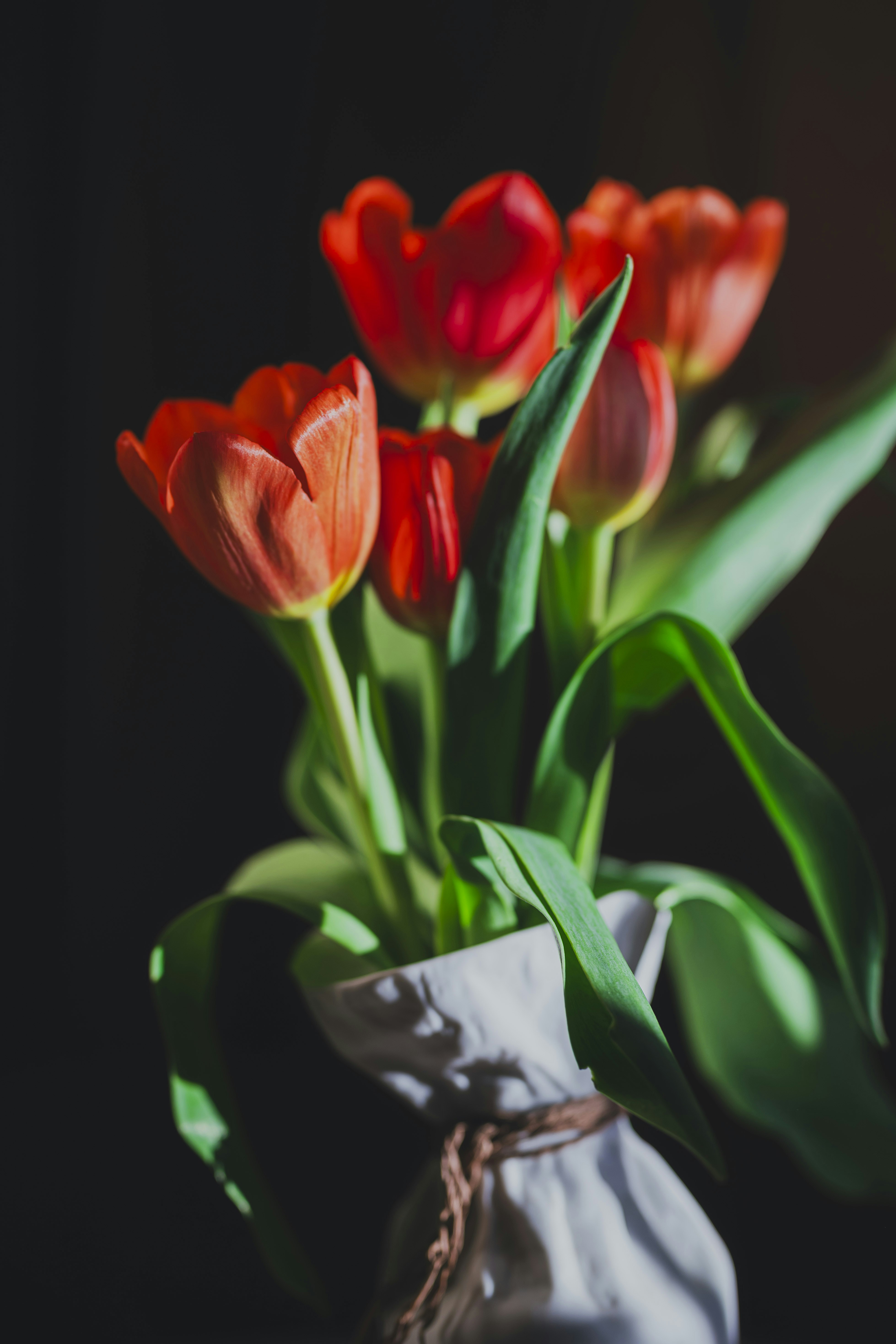 Photo by vonshnauzer