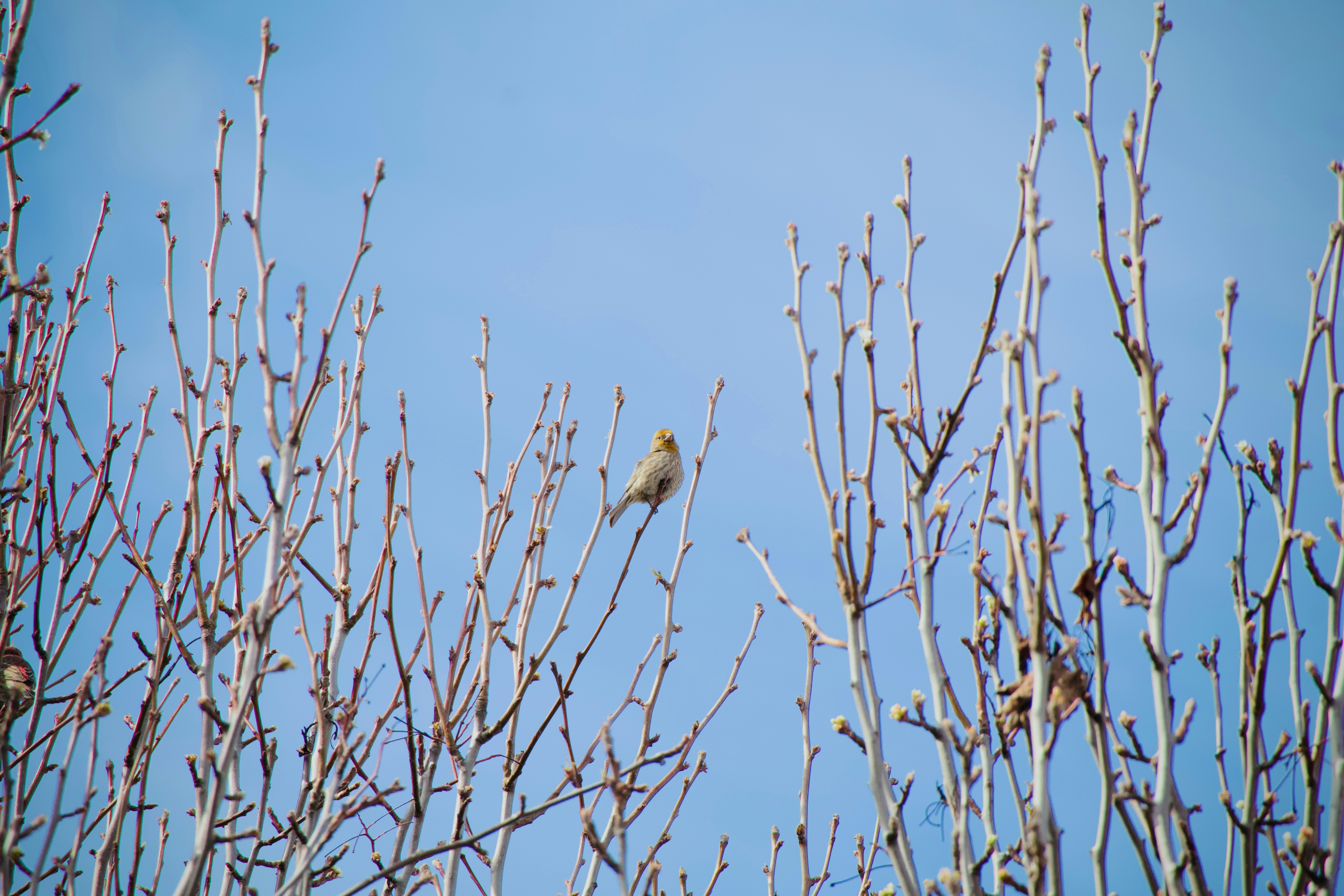 Photo by sarguninder