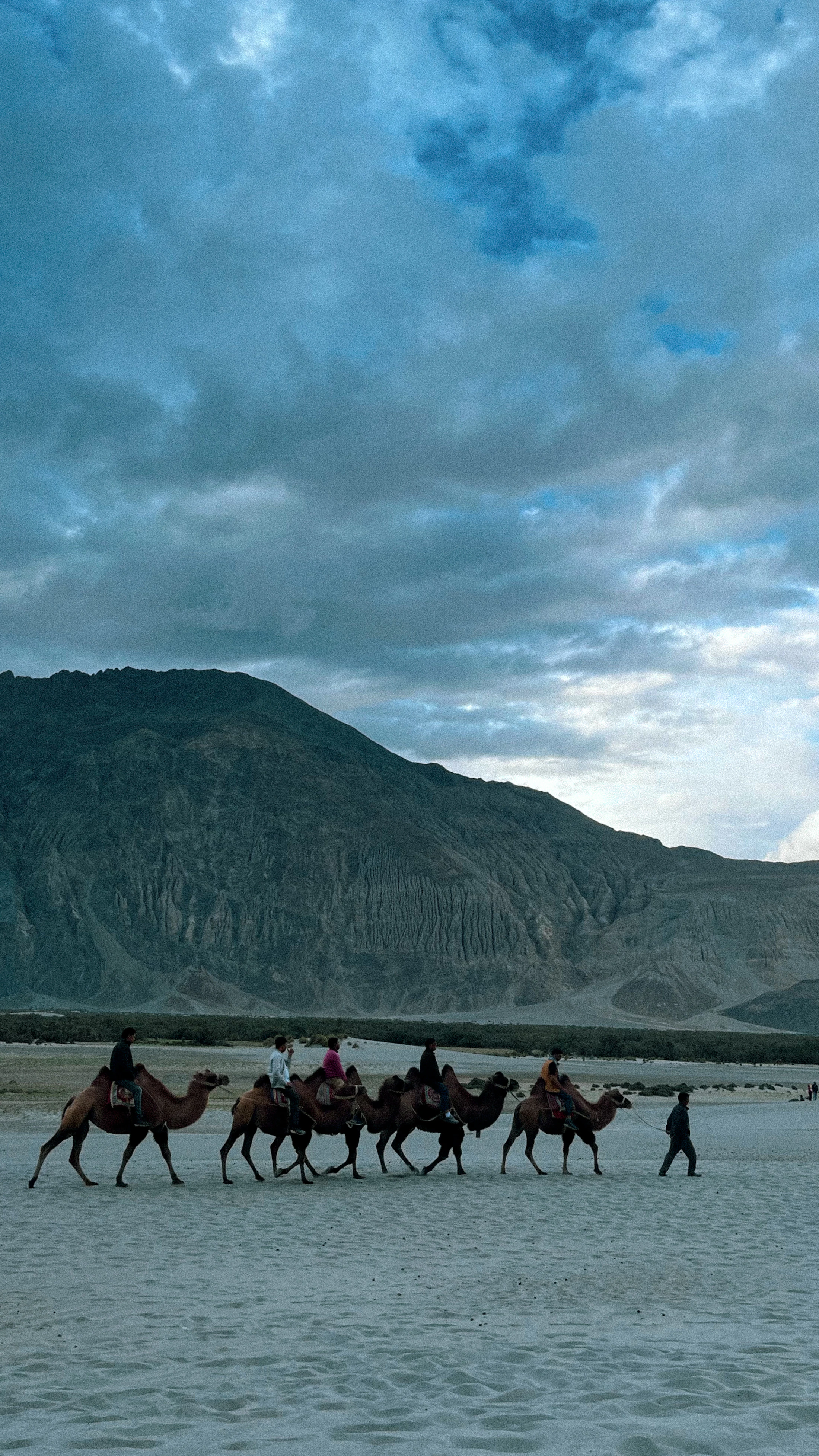 A camel caravan crossing the Hunder dunes under a heavy sky