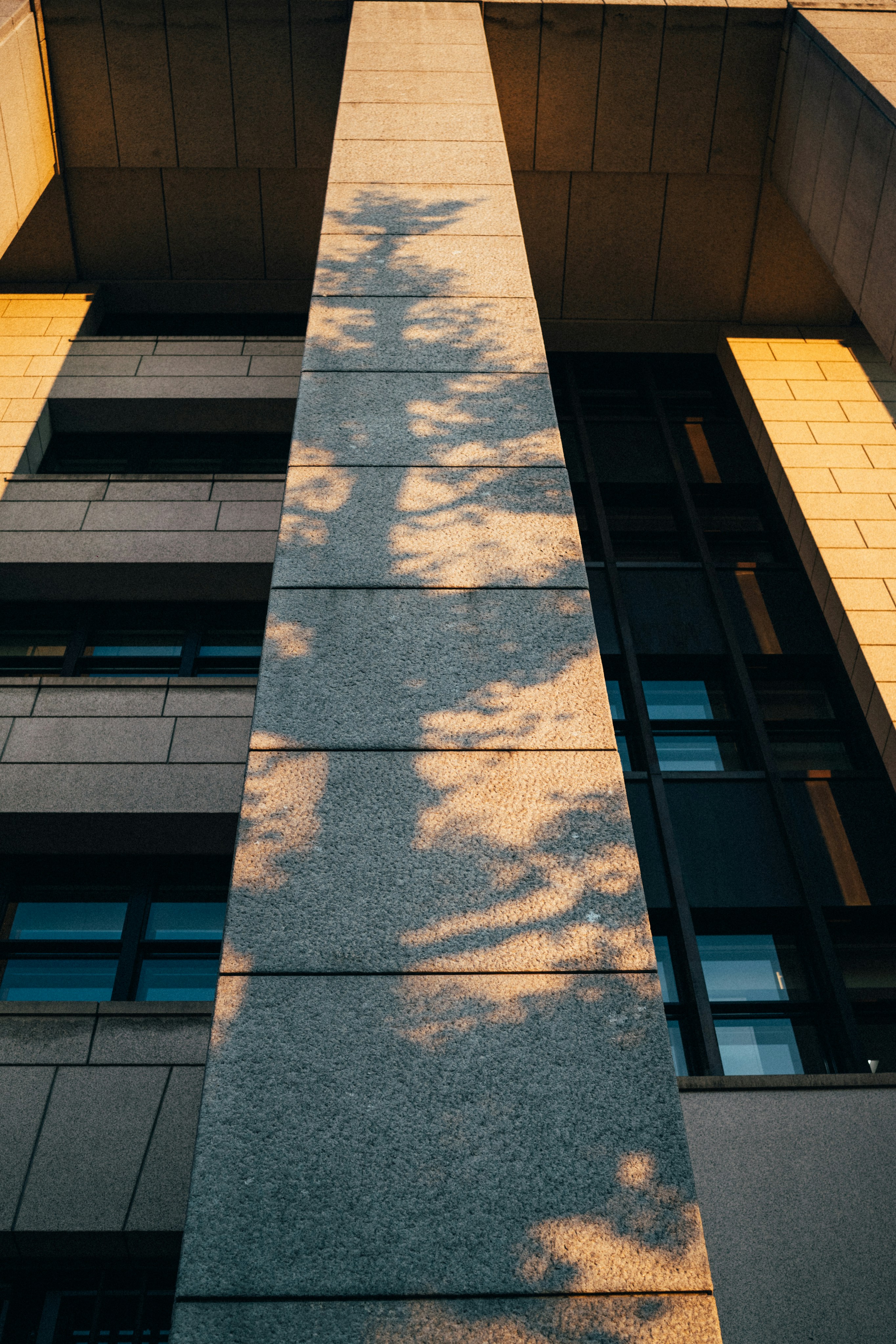 Photo by tsuyoshikozu