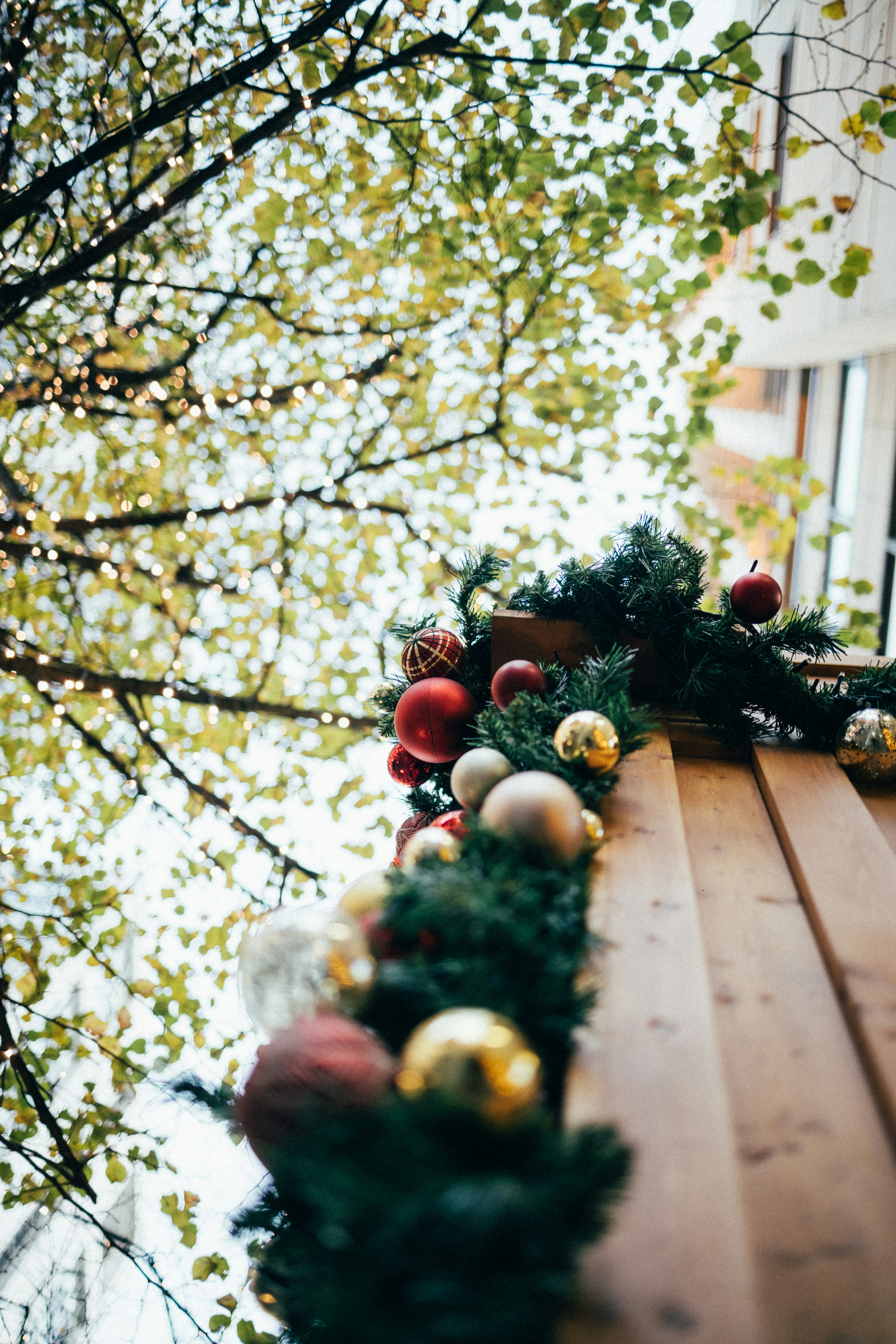 Photo by tsuyoshikozu