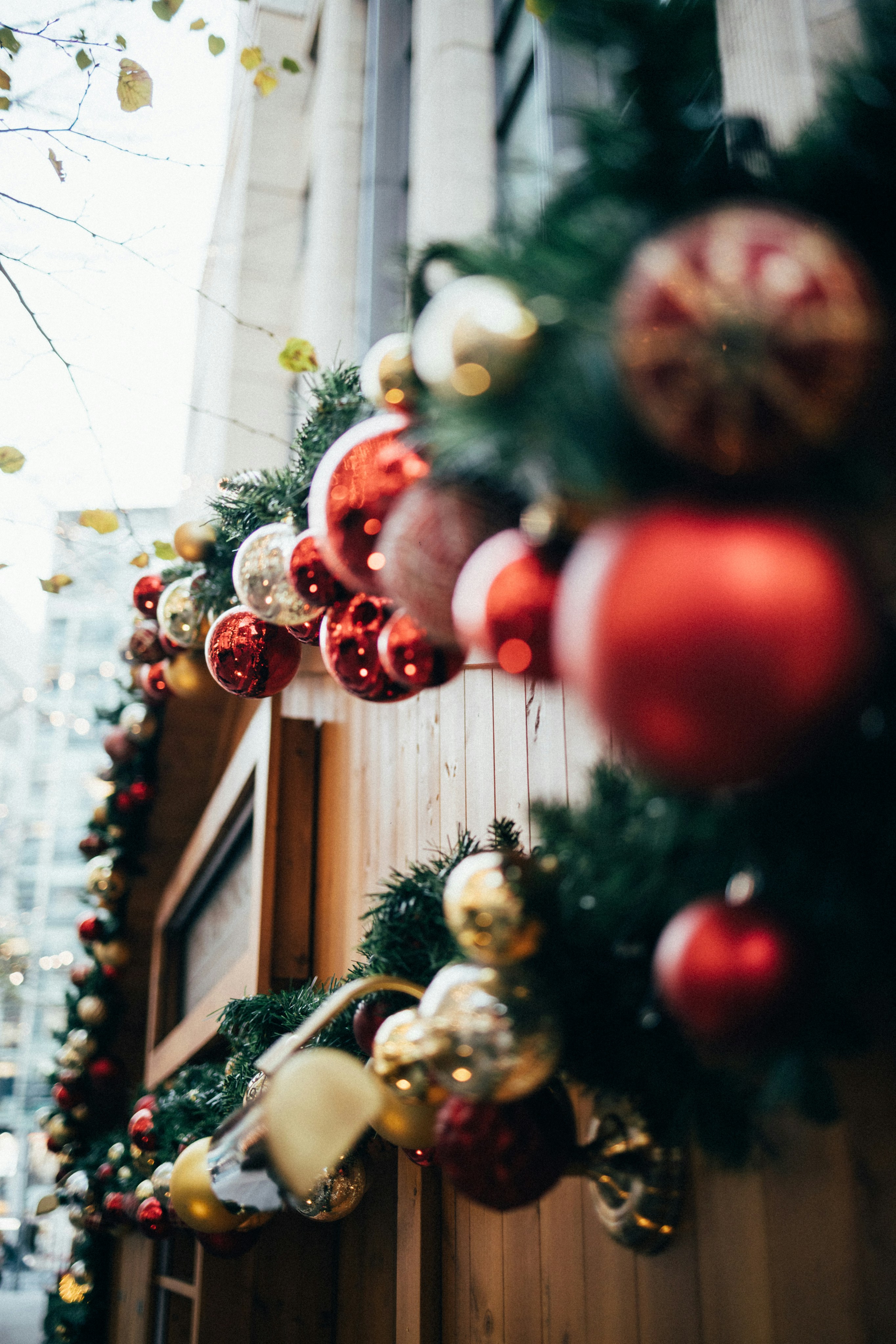 Photo by tsuyoshikozu