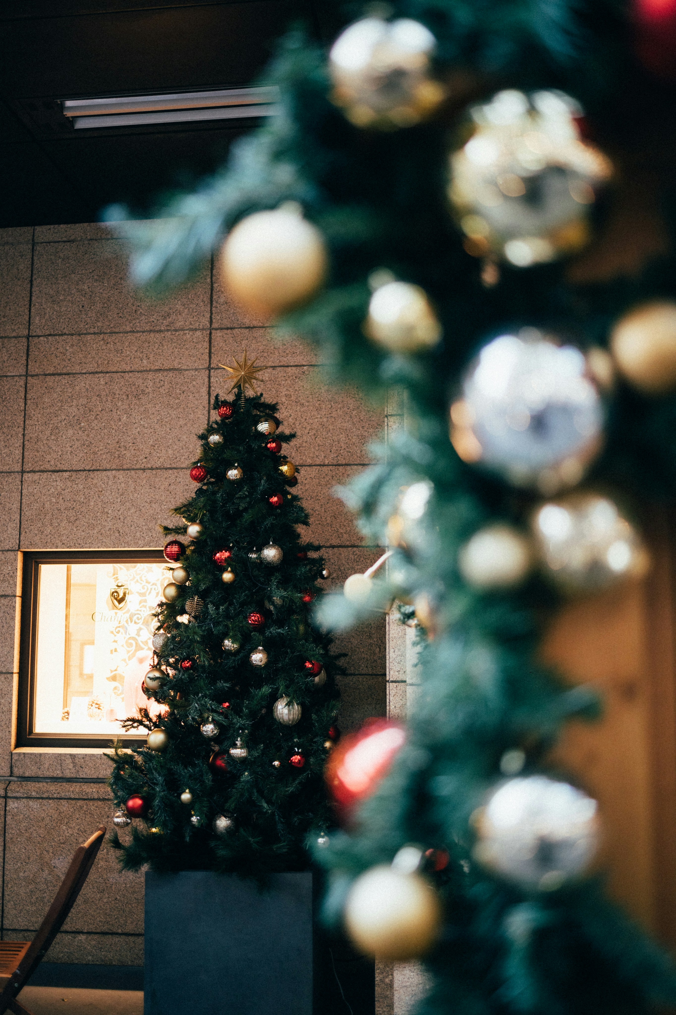 Photo by tsuyoshikozu