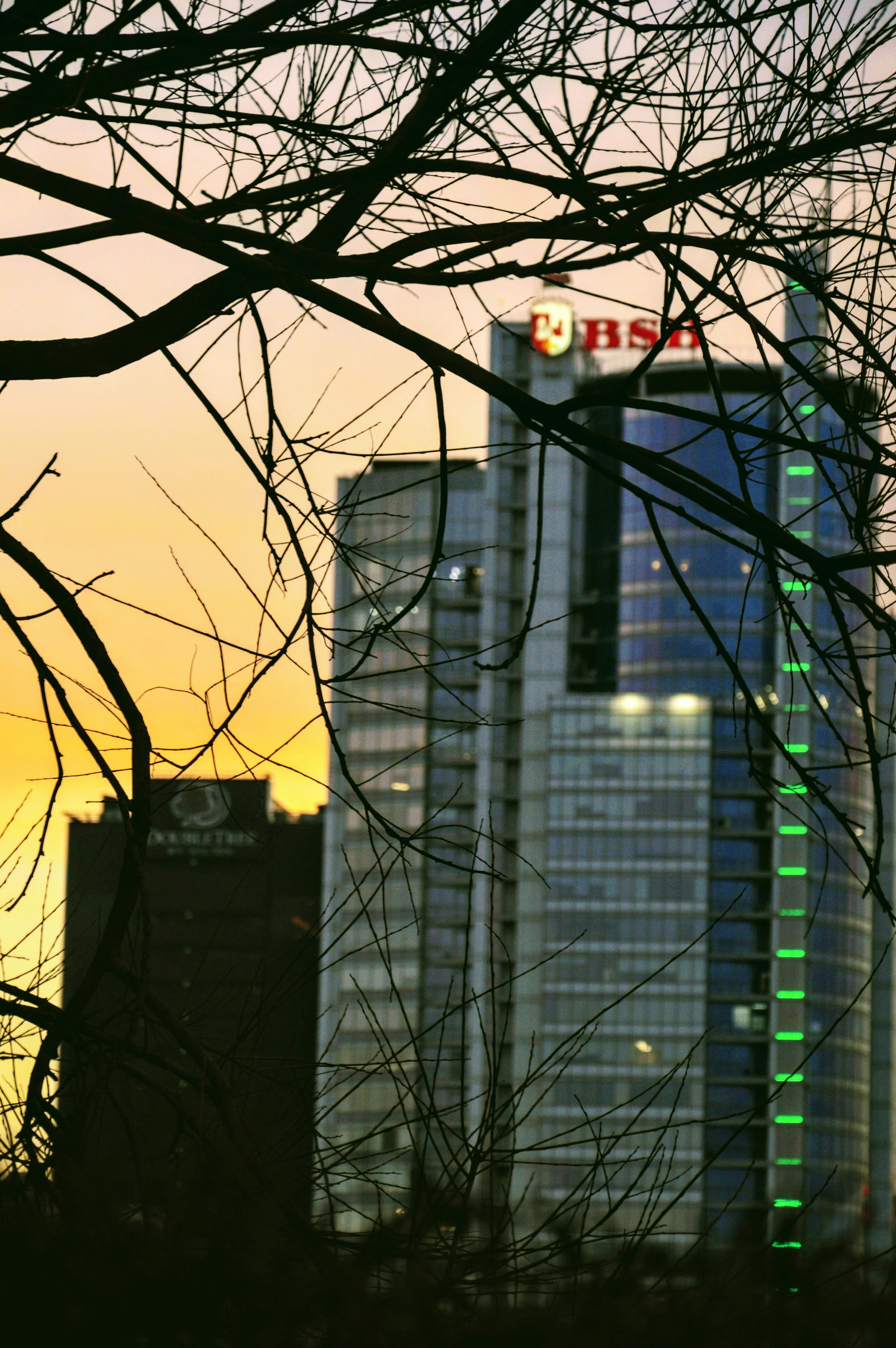 Photo by beauty_is_everywhere