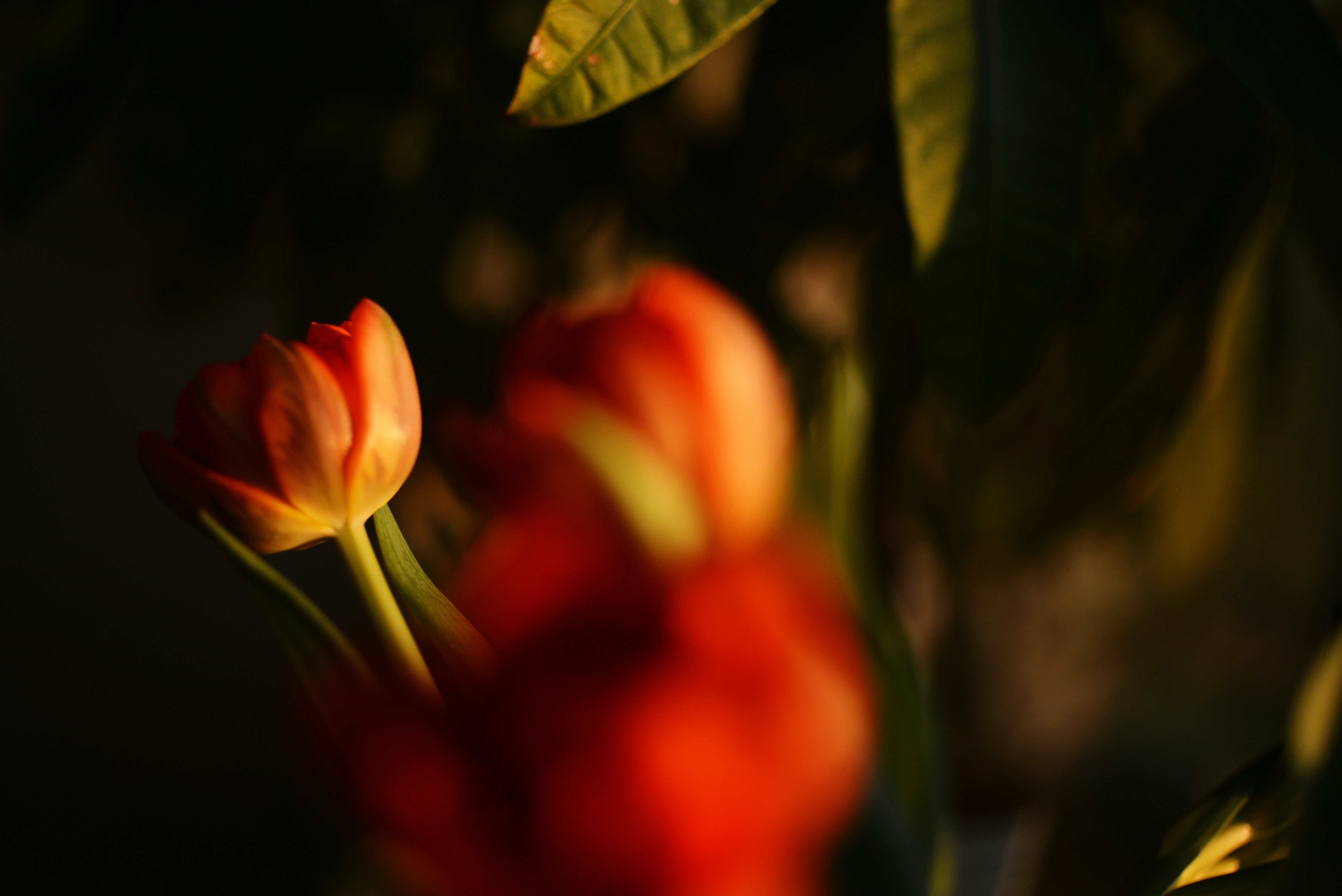 Photo by cherstve_pechivo