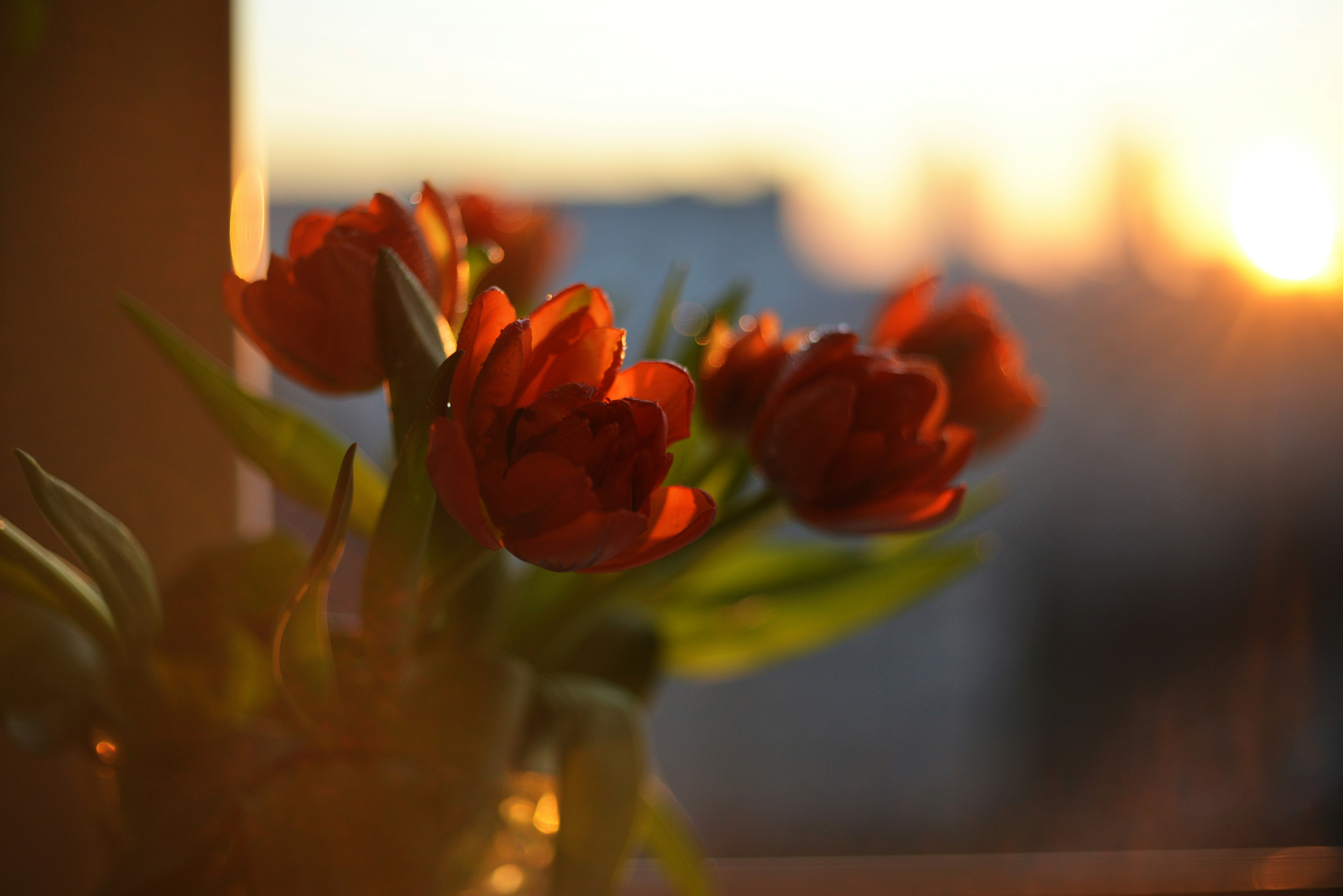 Photo by cherstve_pechivo