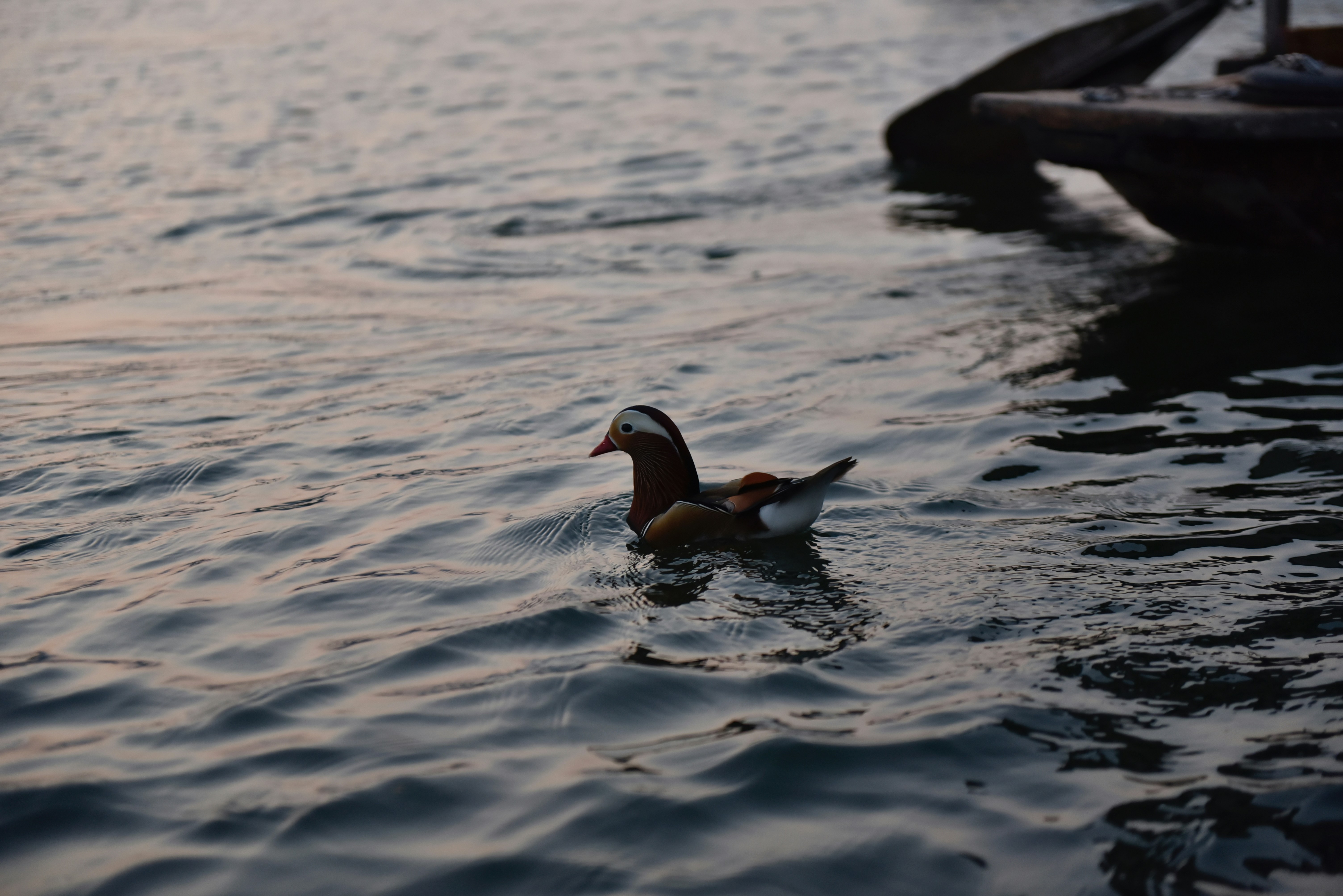 Photo by lilixxxxxxxxxxx