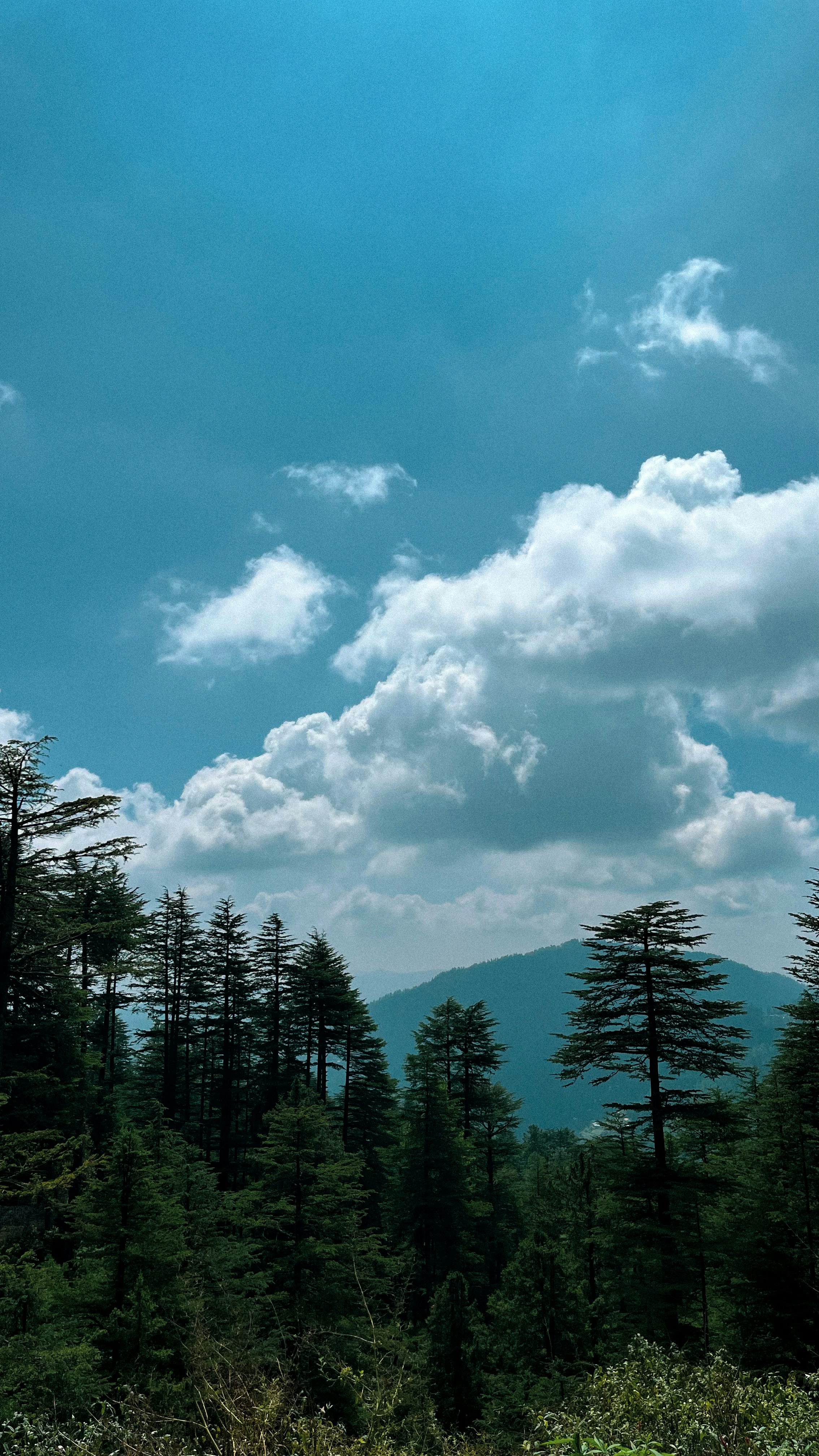 Photo by rkdotxyz