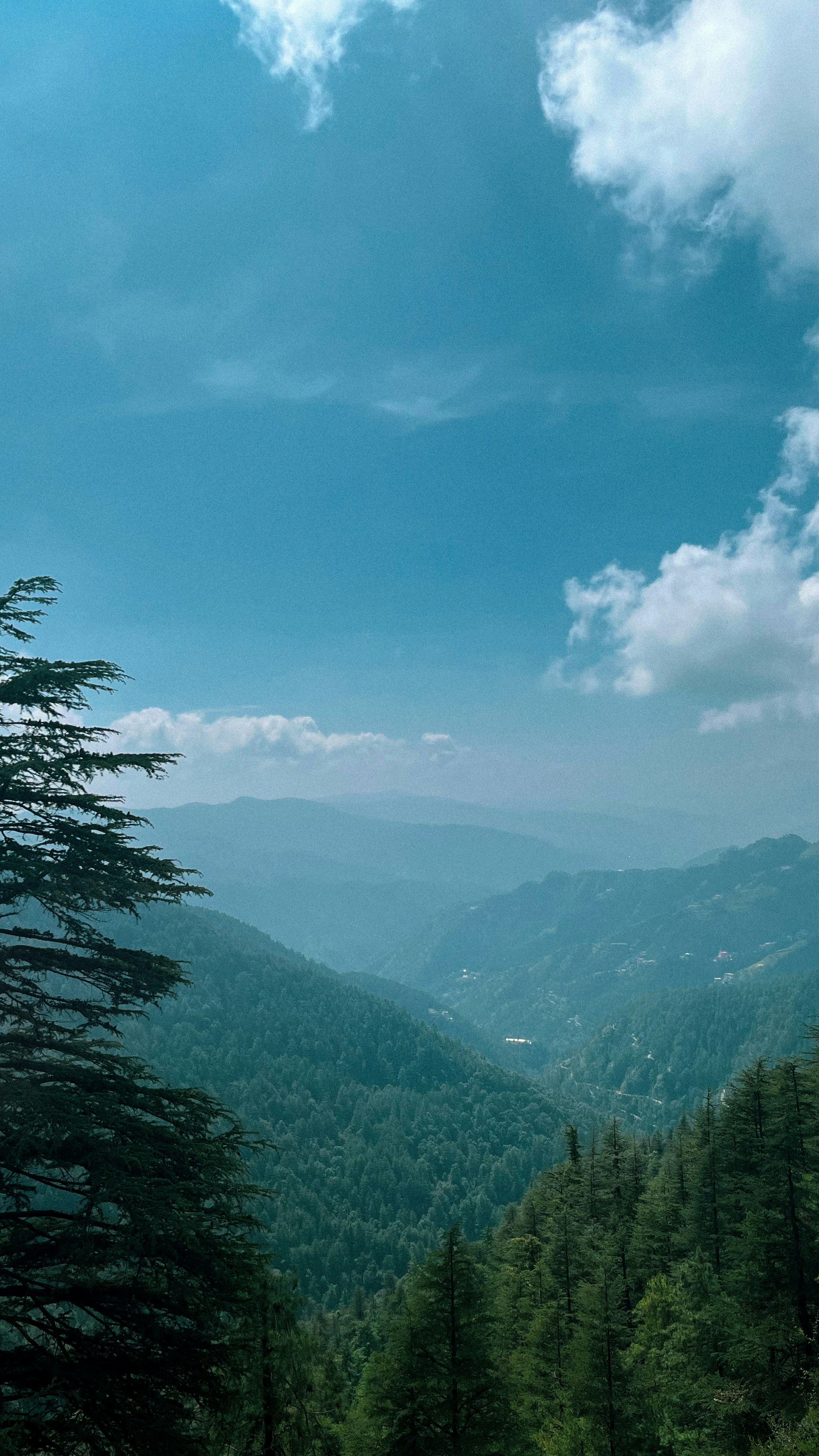 Photo by rkdotdesign