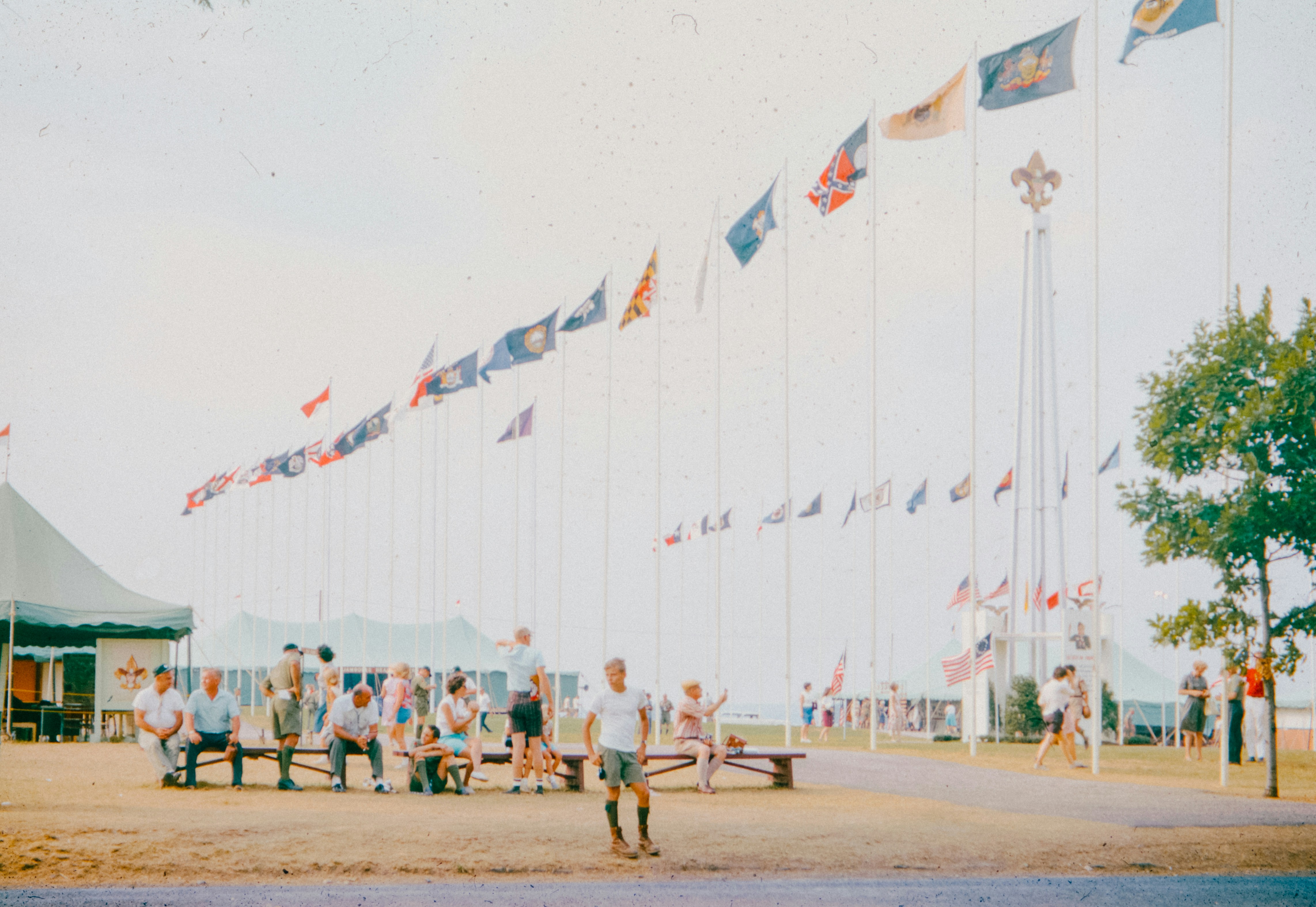 A scout jamboree with many flags flying high.
