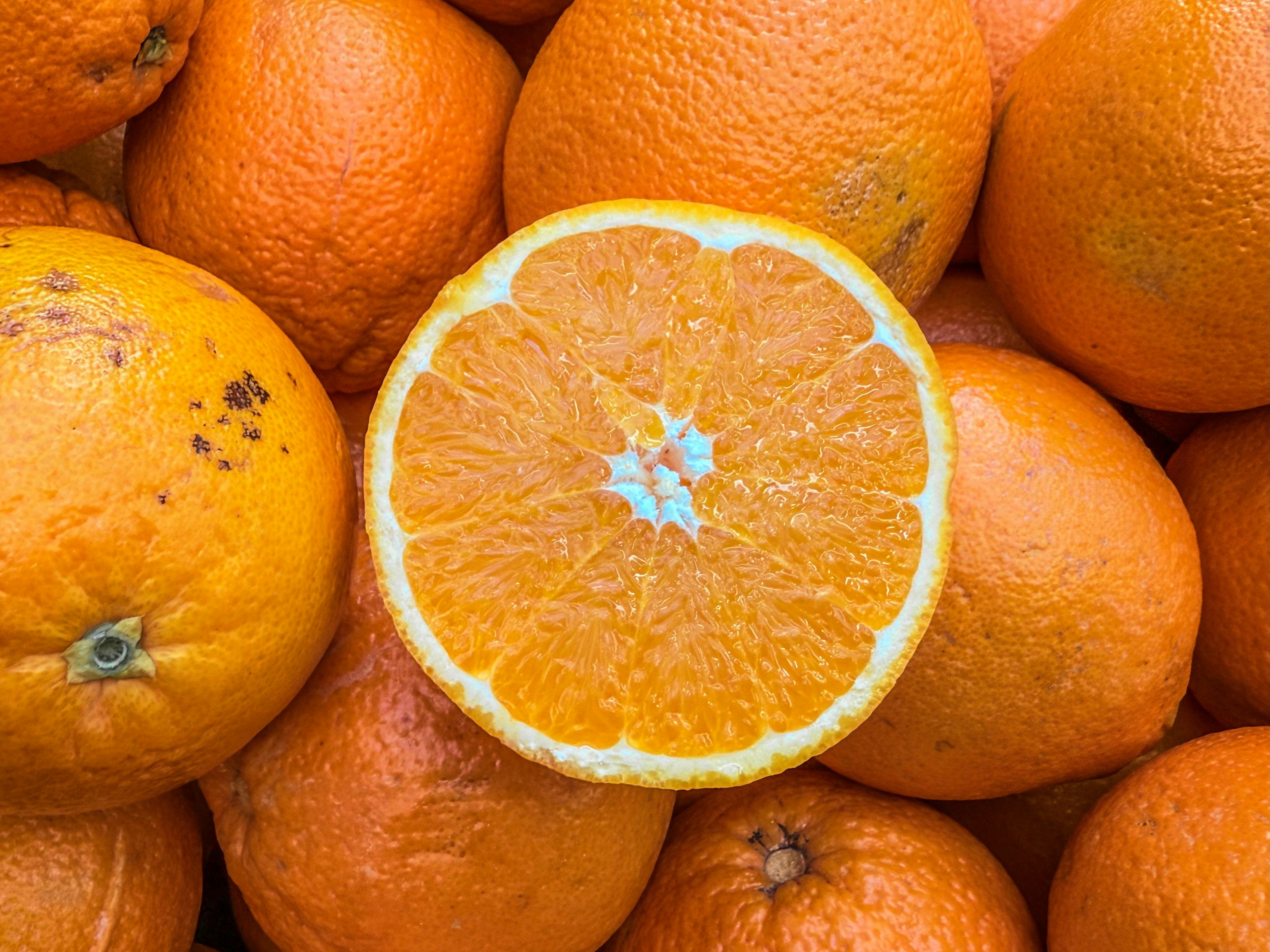 Photo by eddiepipocas