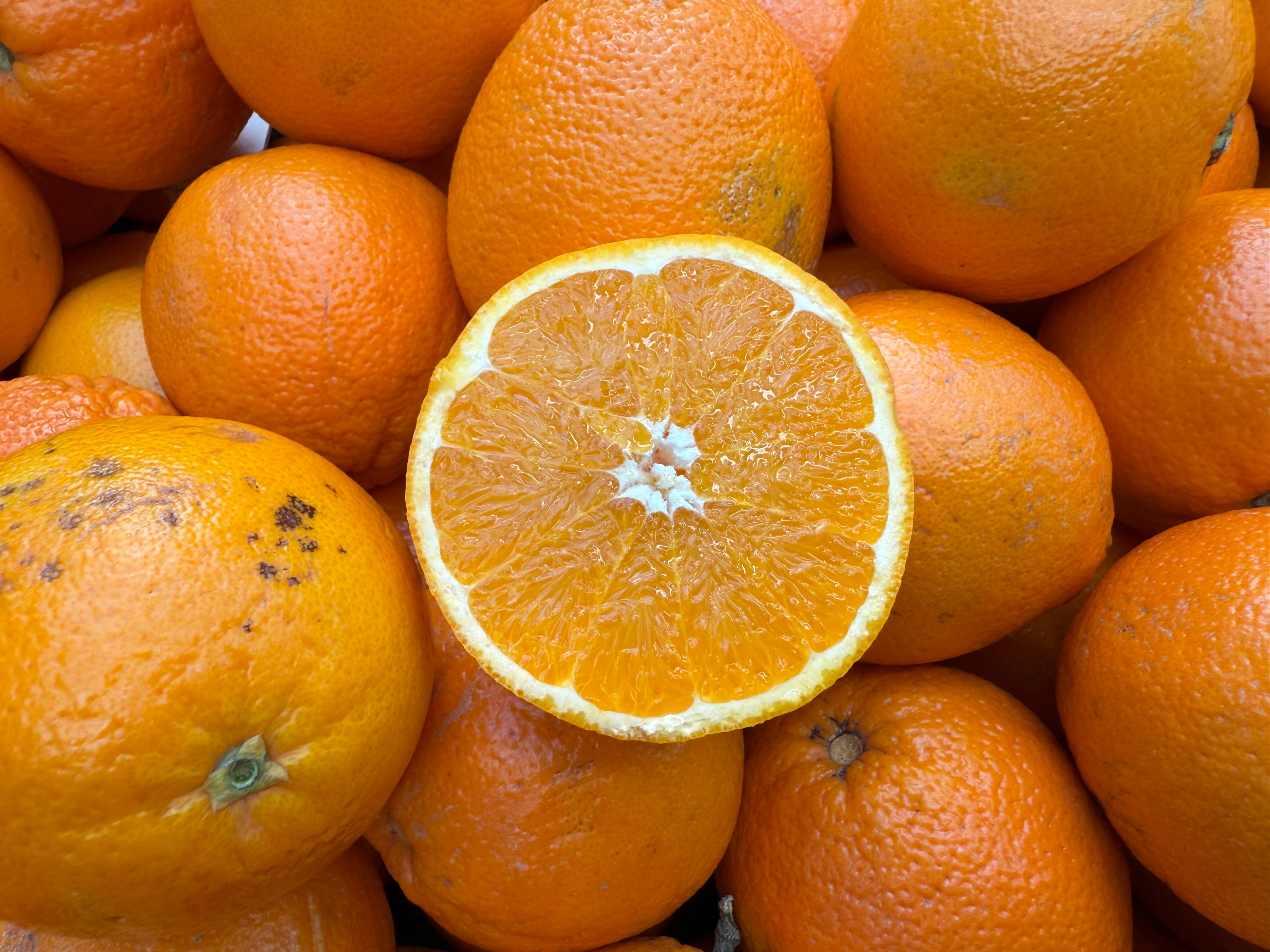 Photo by eddiepipocas