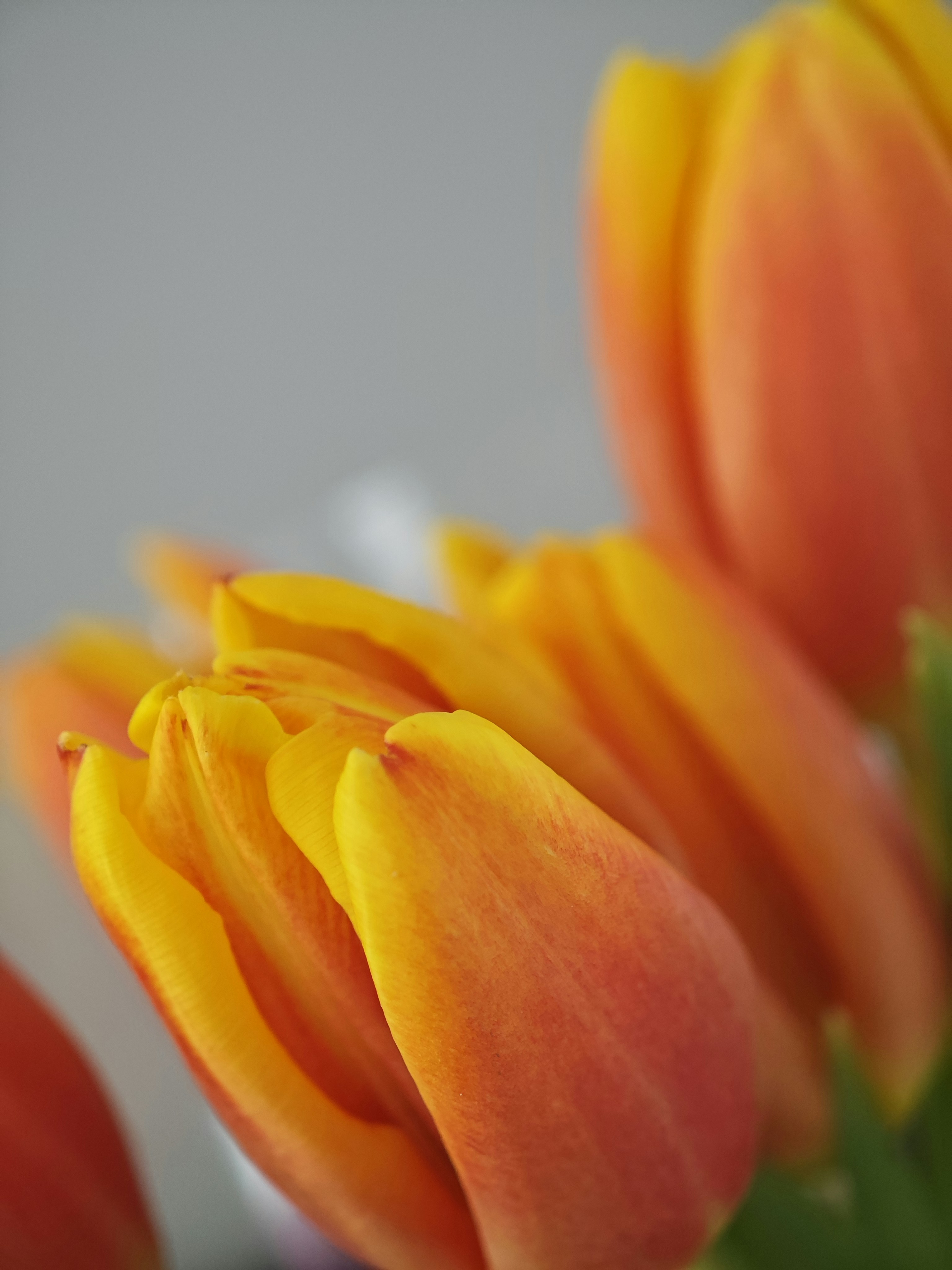 Photo by arcturus_154242273