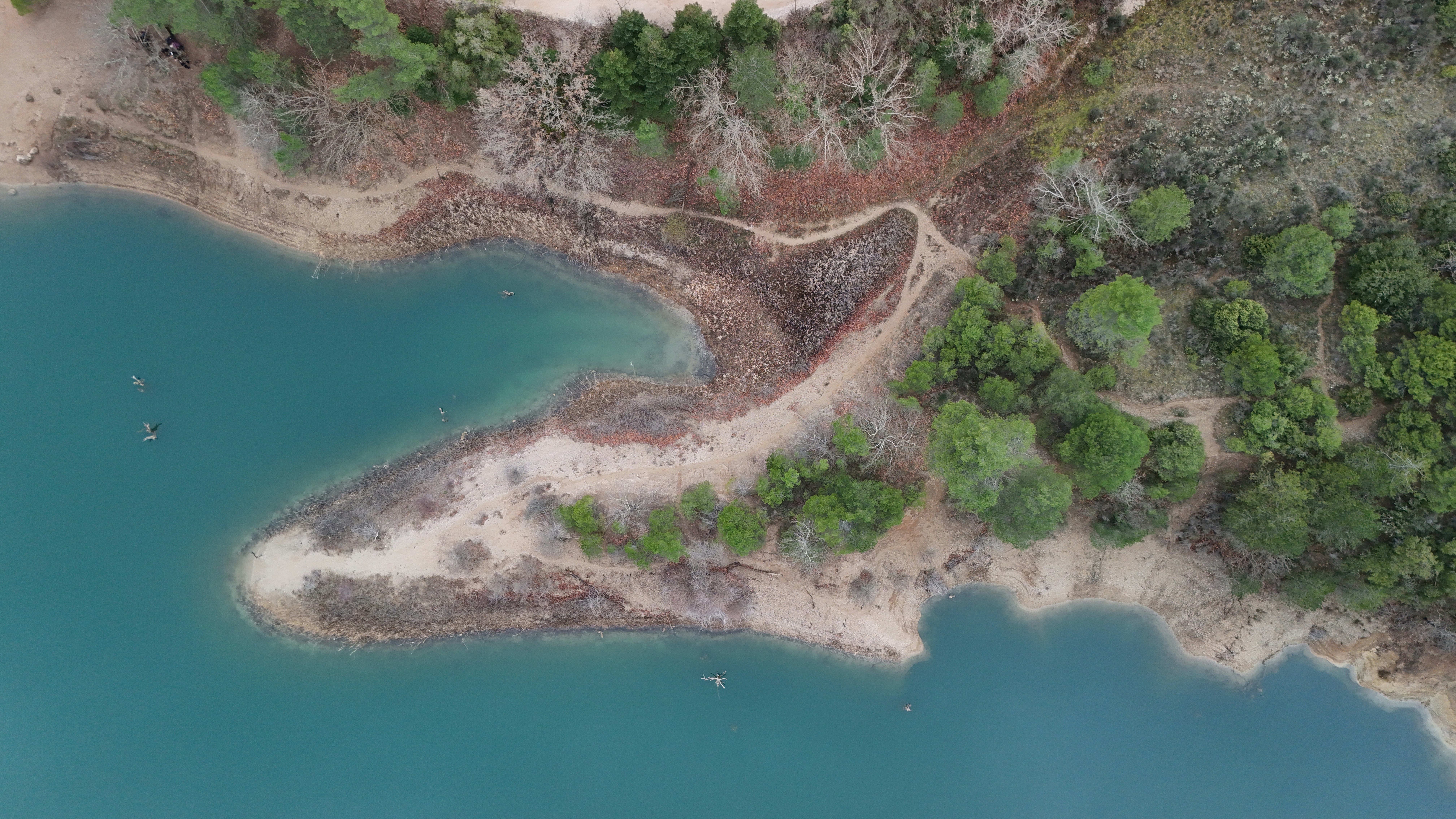 A lake's shore with trees from an aerial view.