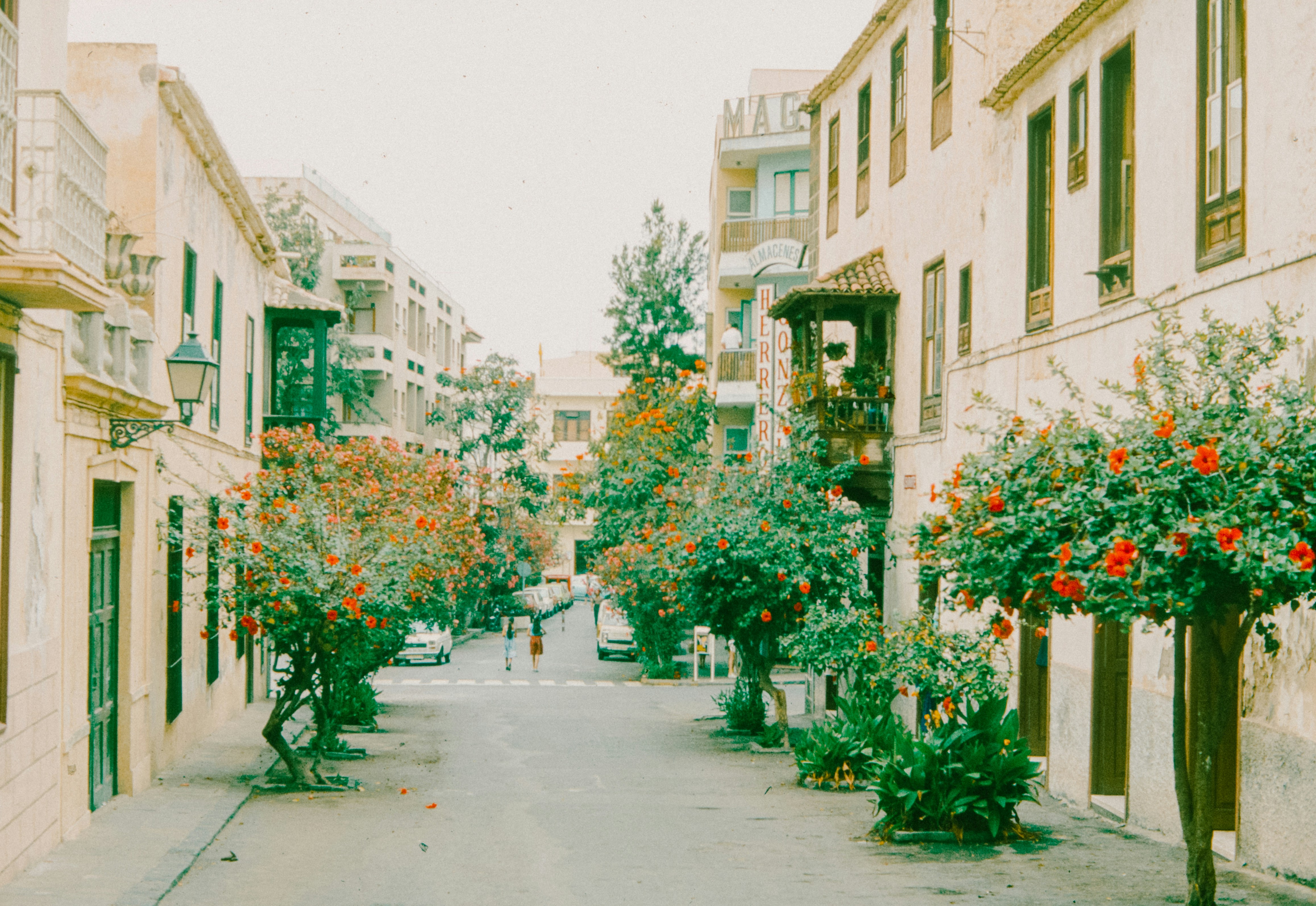 Photo by anniespratt