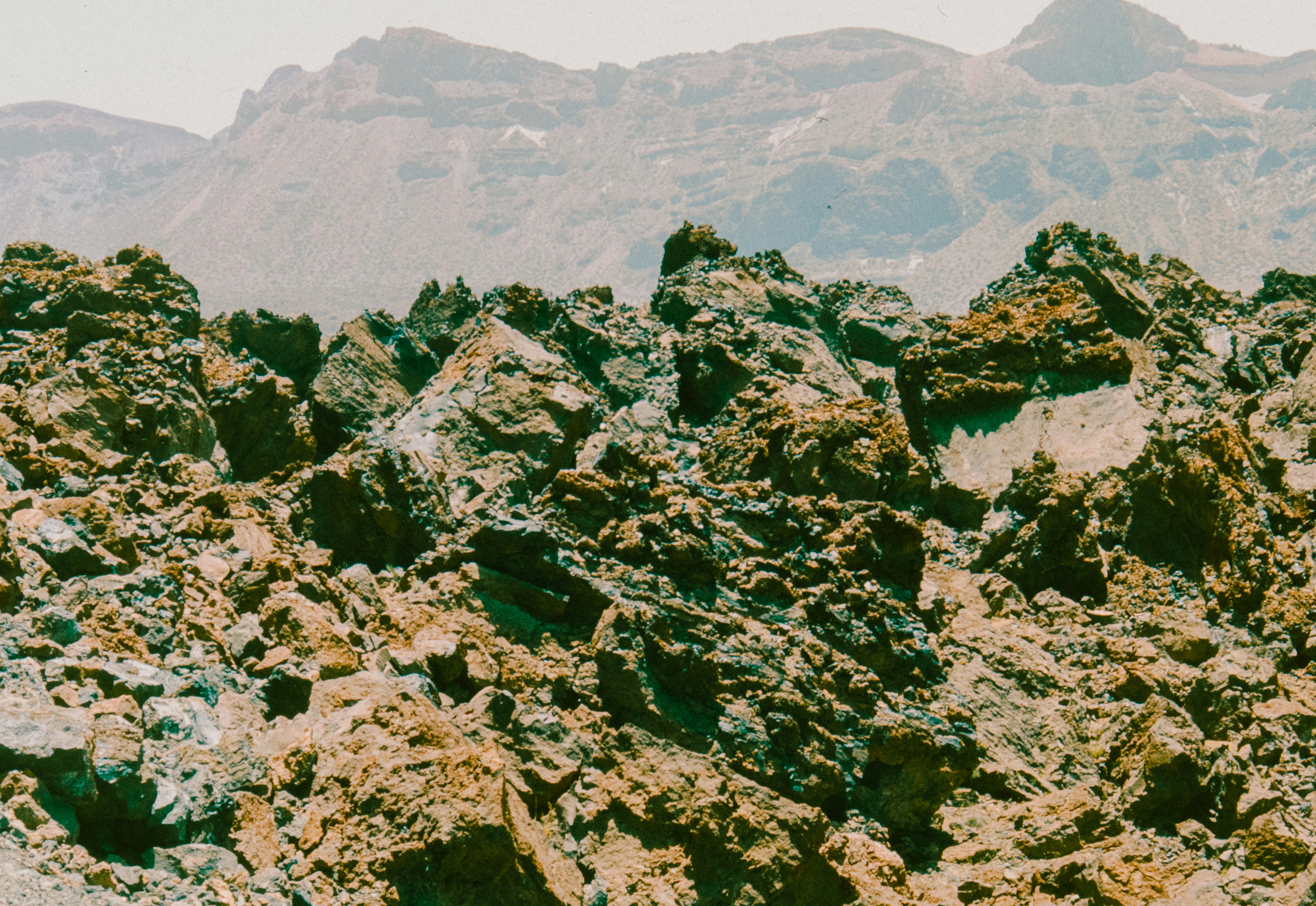 Photo by anniespratt