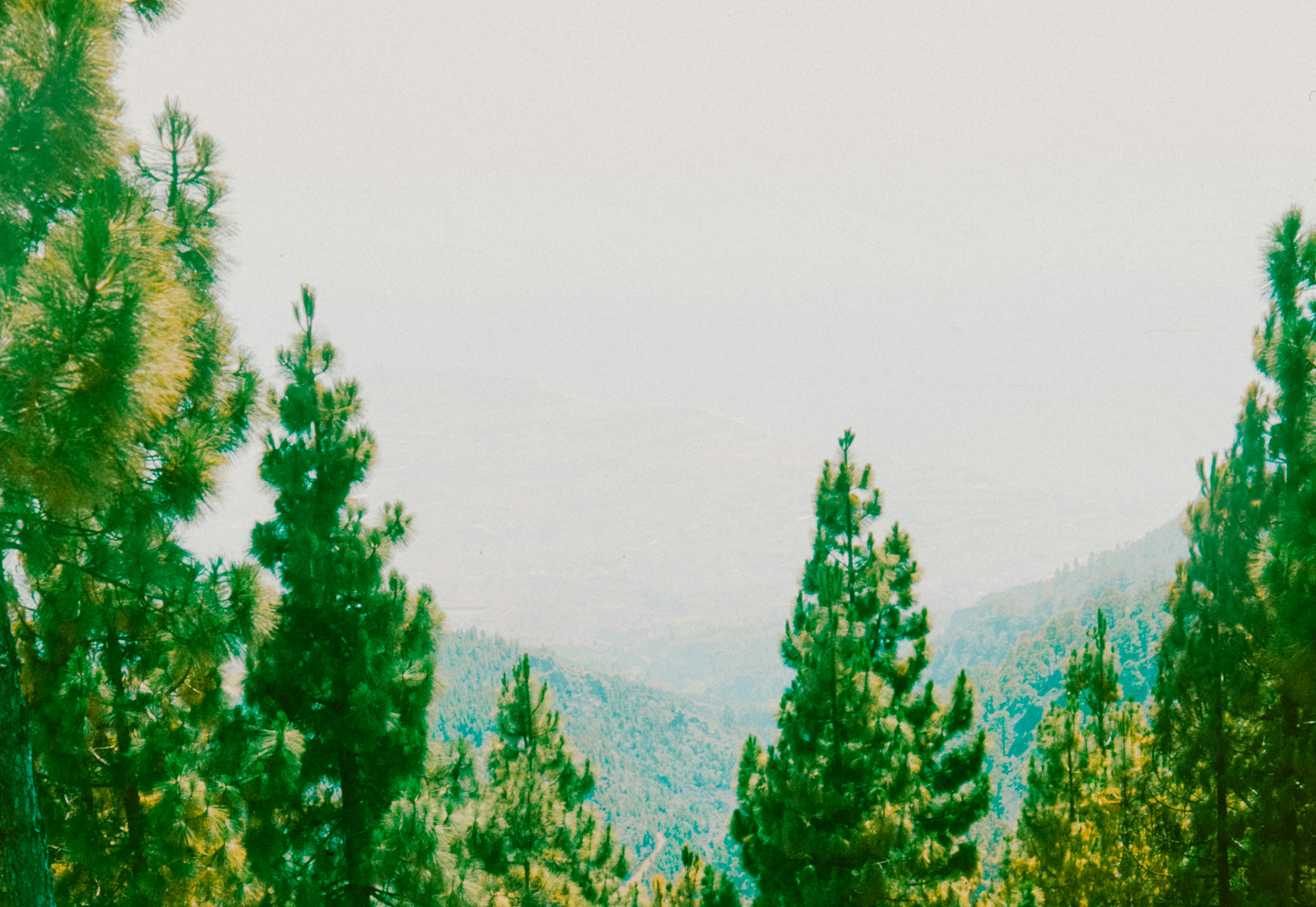 Photo by anniespratt