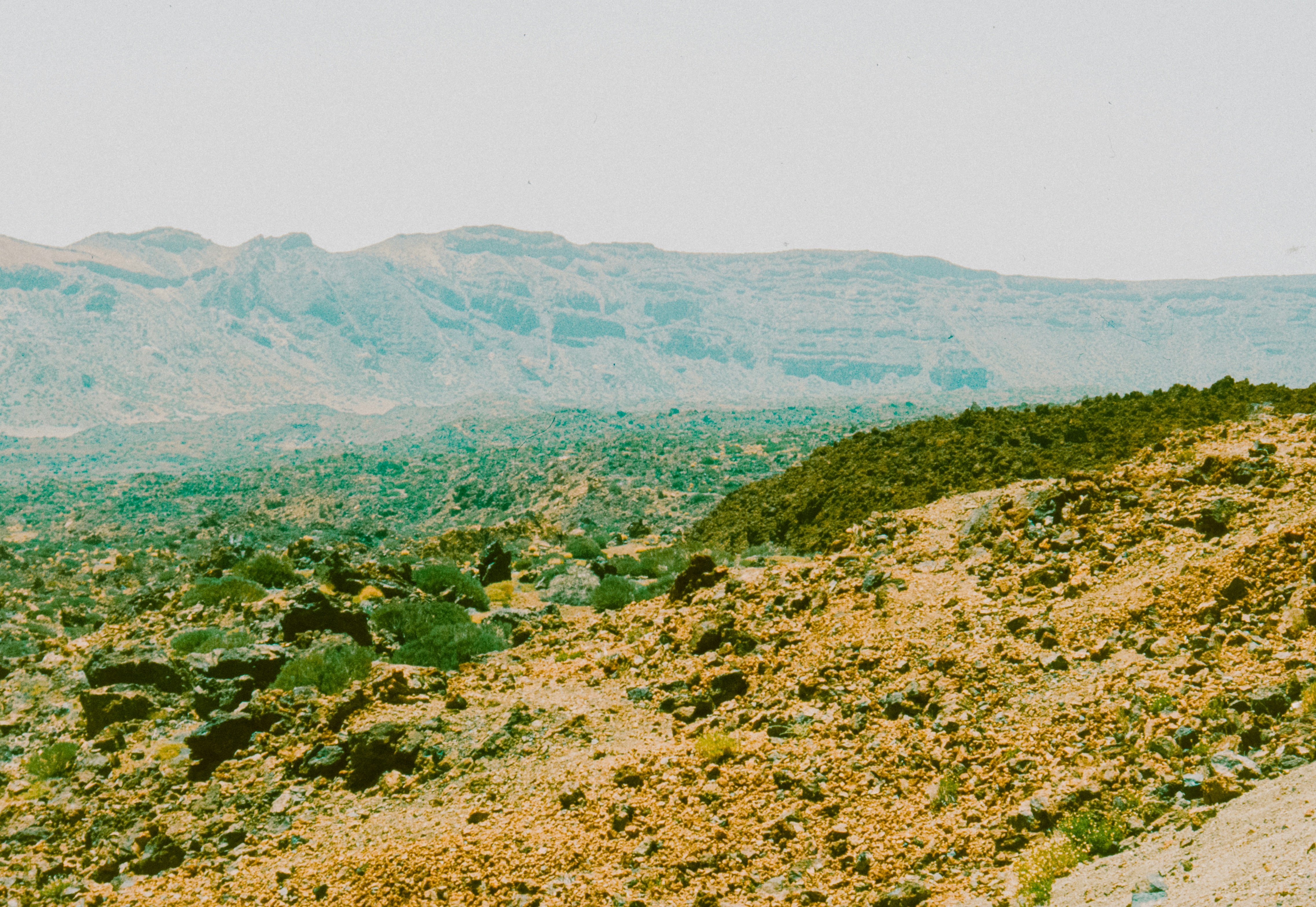 Photo by anniespratt