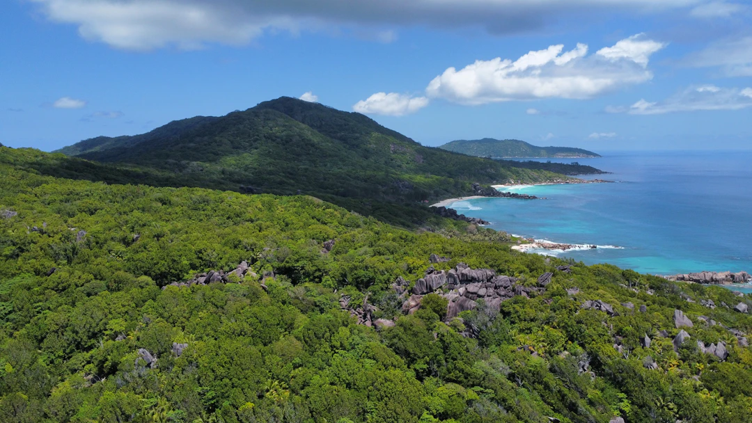 3-Day Family Travel Guide to Victoria, Seychelles