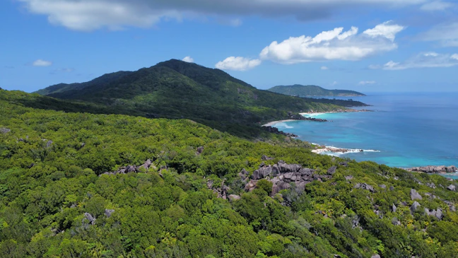 3-Day Family Travel Guide to Victoria, Seychelles