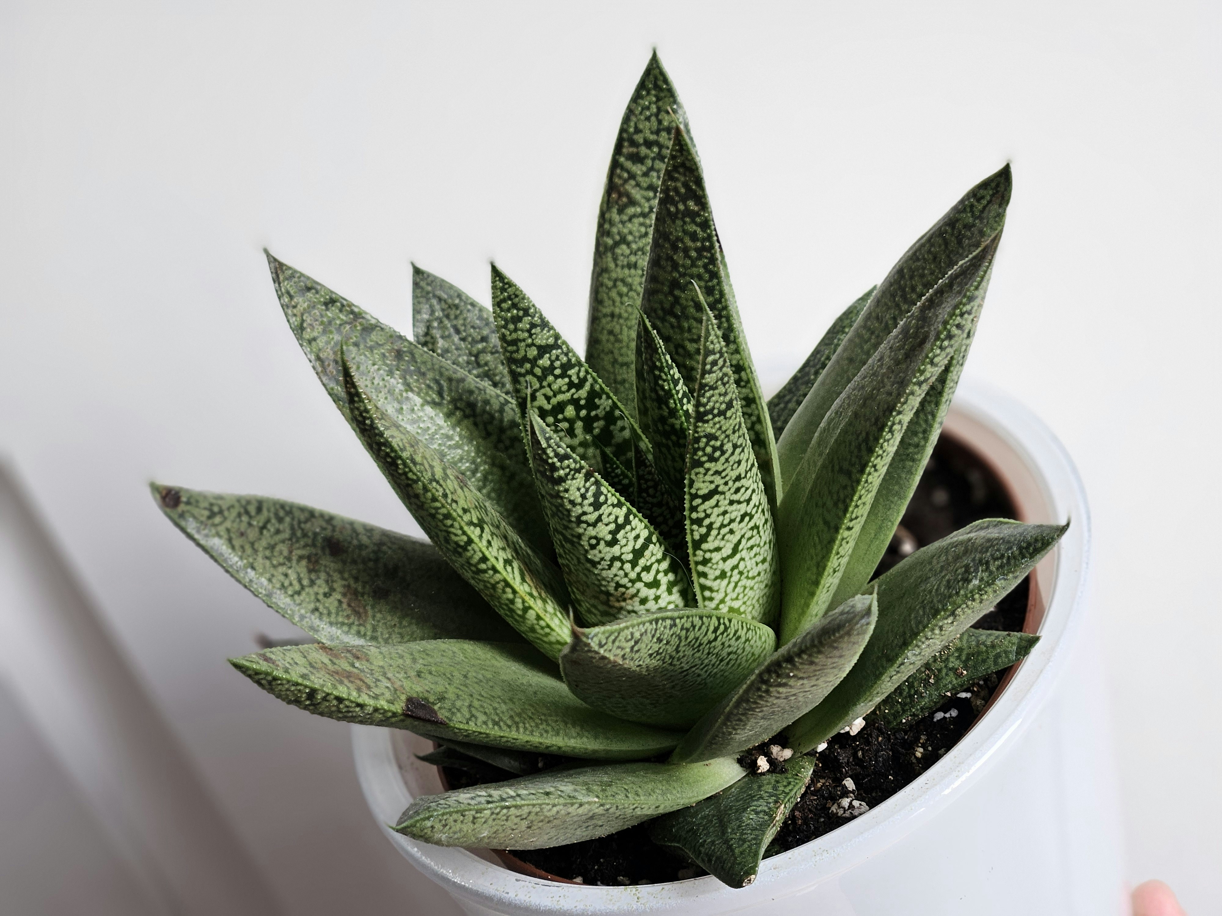 Photo by marjorylucabaxter