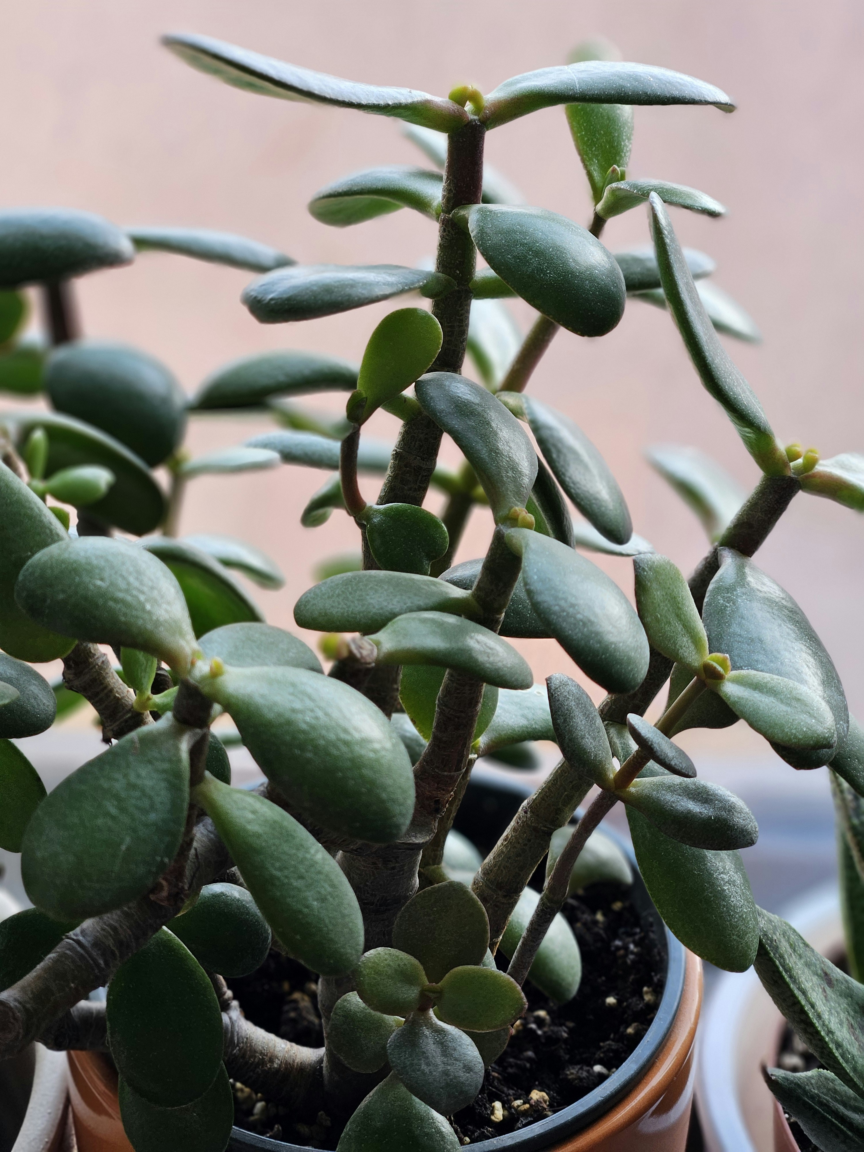 Photo by marjorylucabaxter