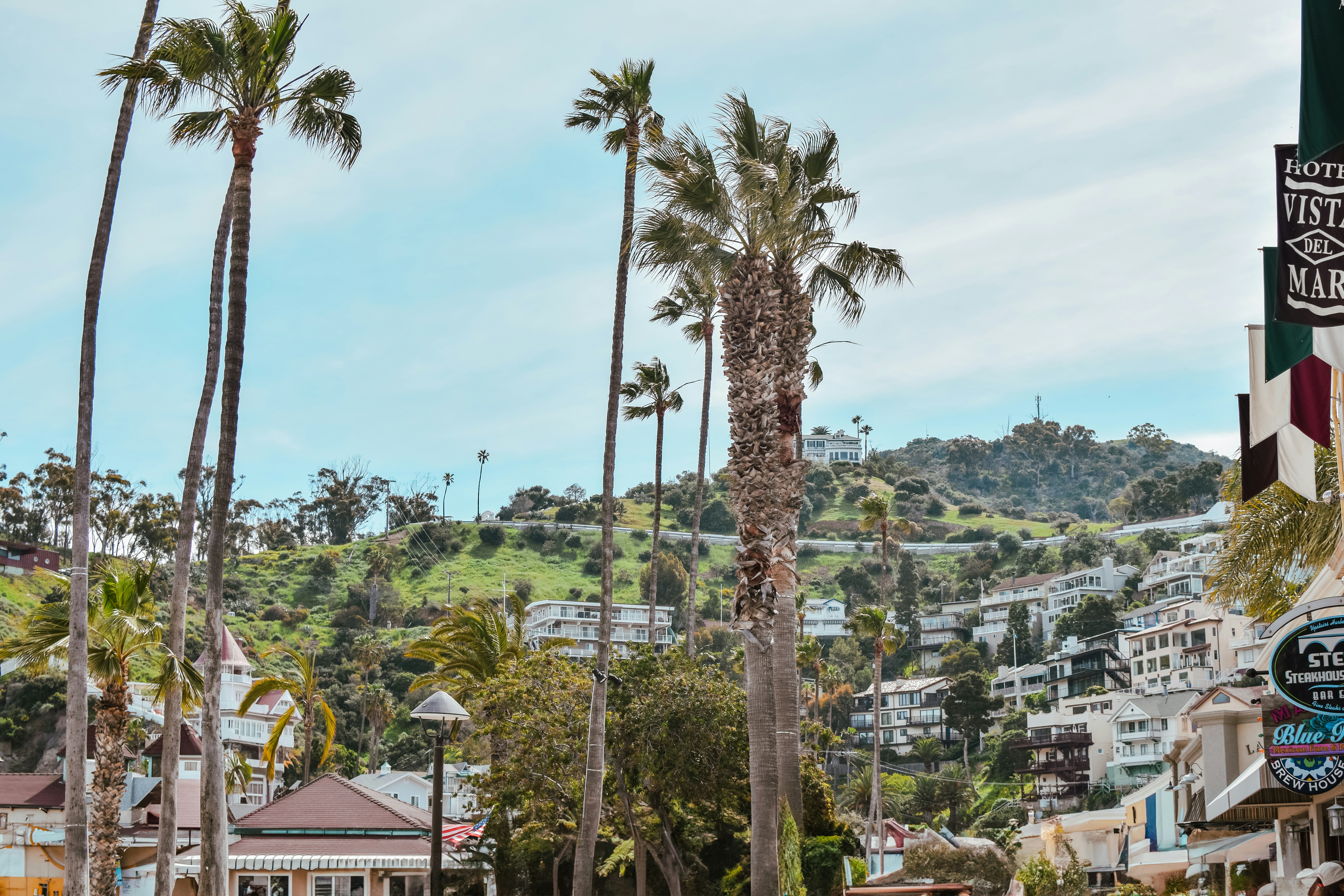 Photo by meganmajocha