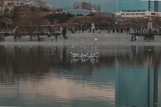 People and boats on a lake.