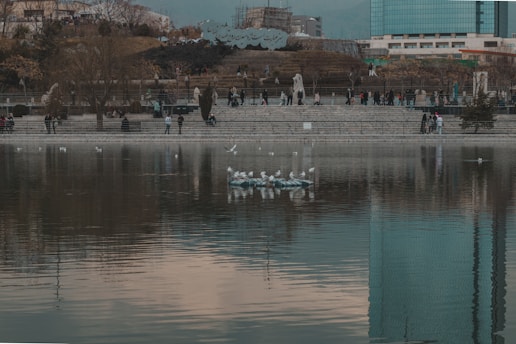 People and boats on a lake.