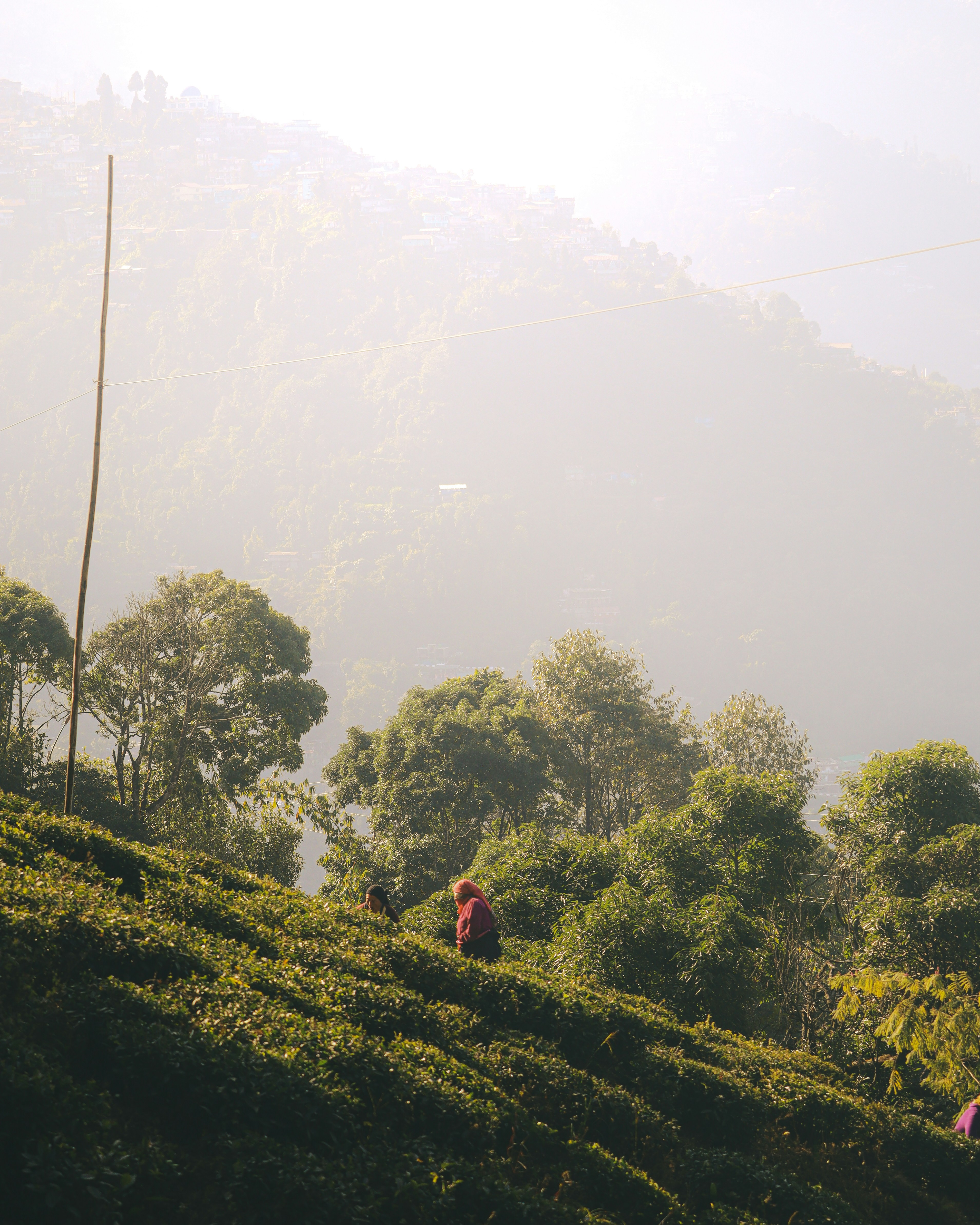 Photo by rohitsharma1785