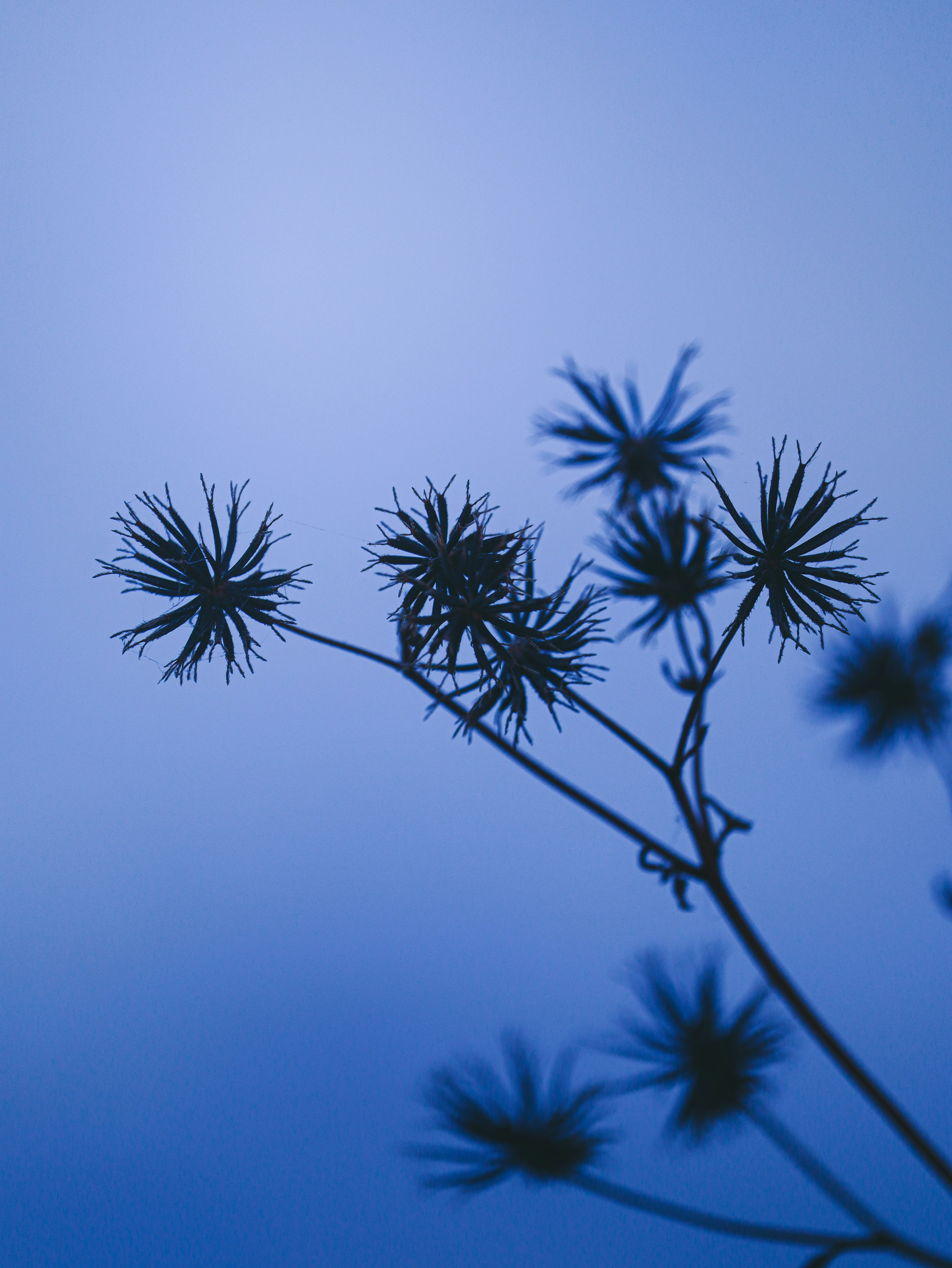 Photo by rohitsharma1785