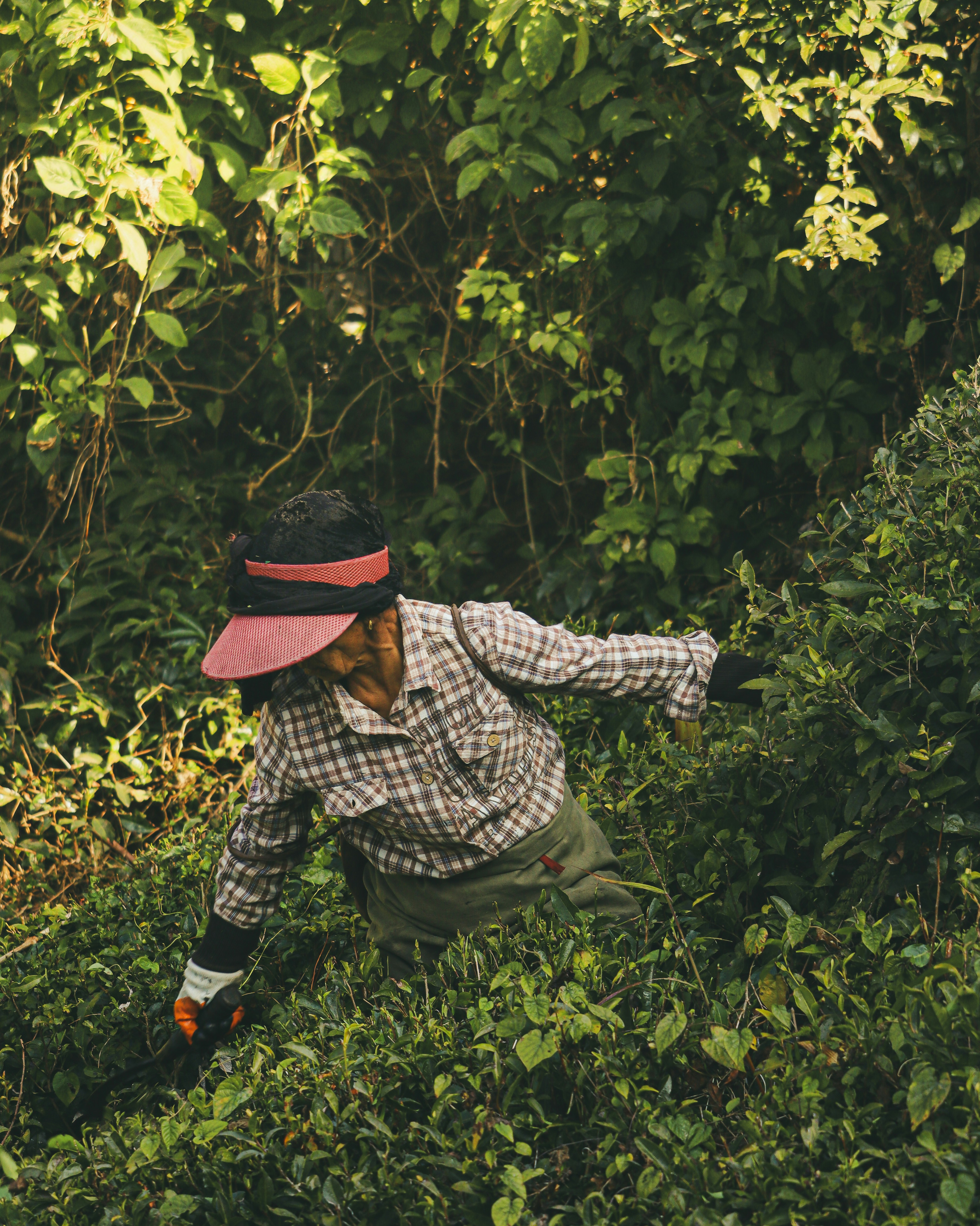 Photo by rohitsharma1785