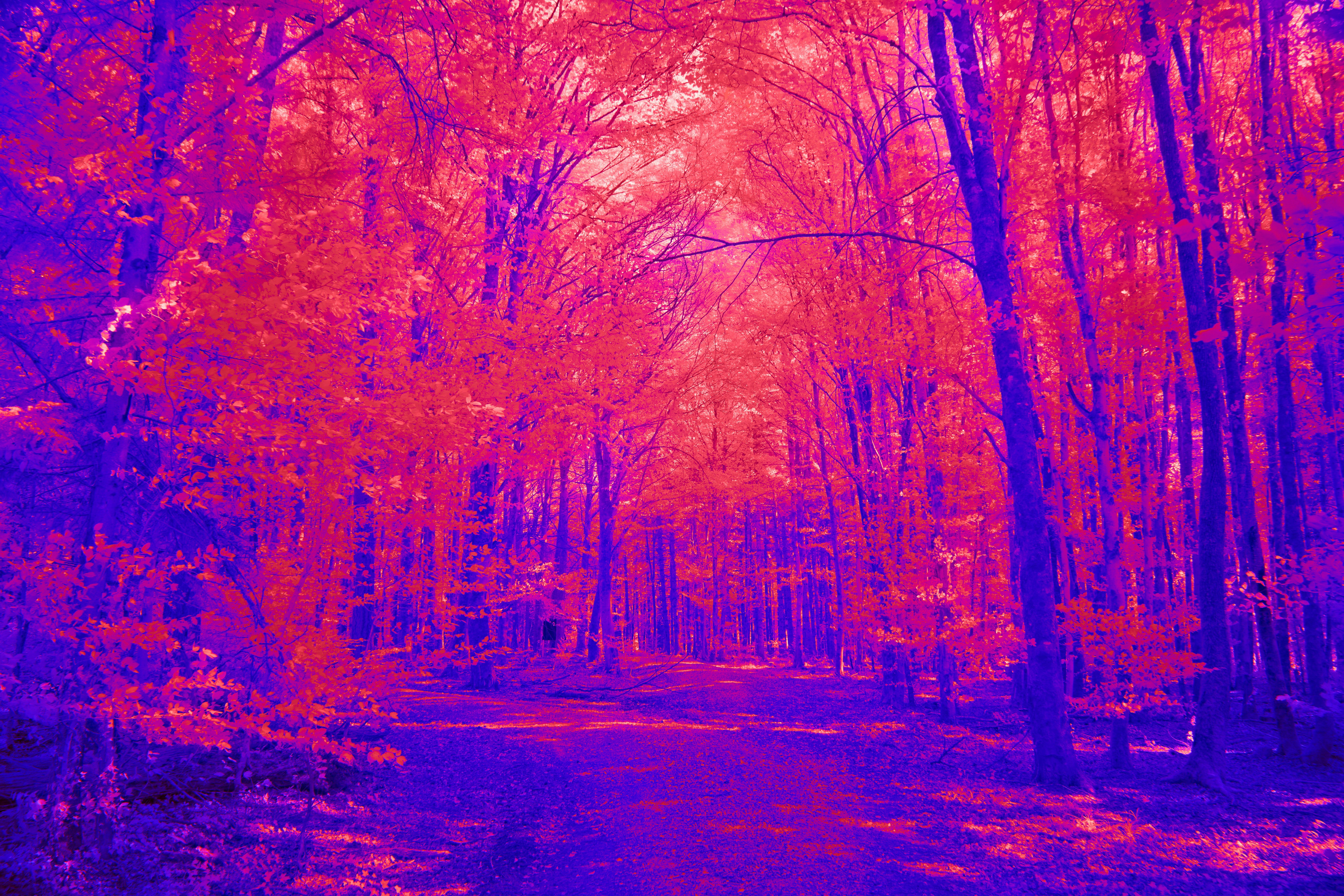 Photo by wolfgang_hasselmann