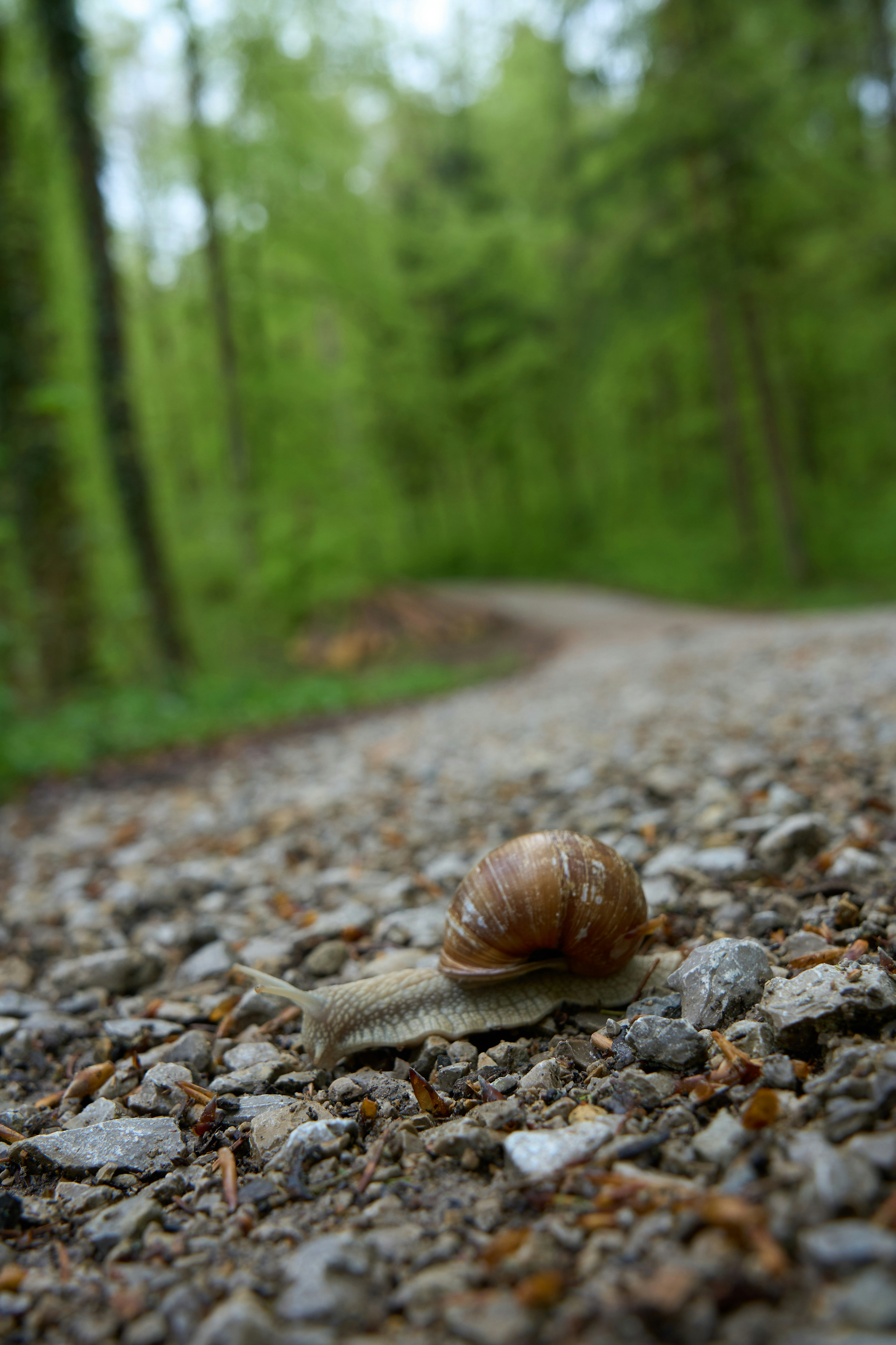 Photo by wolfgang_hasselmann