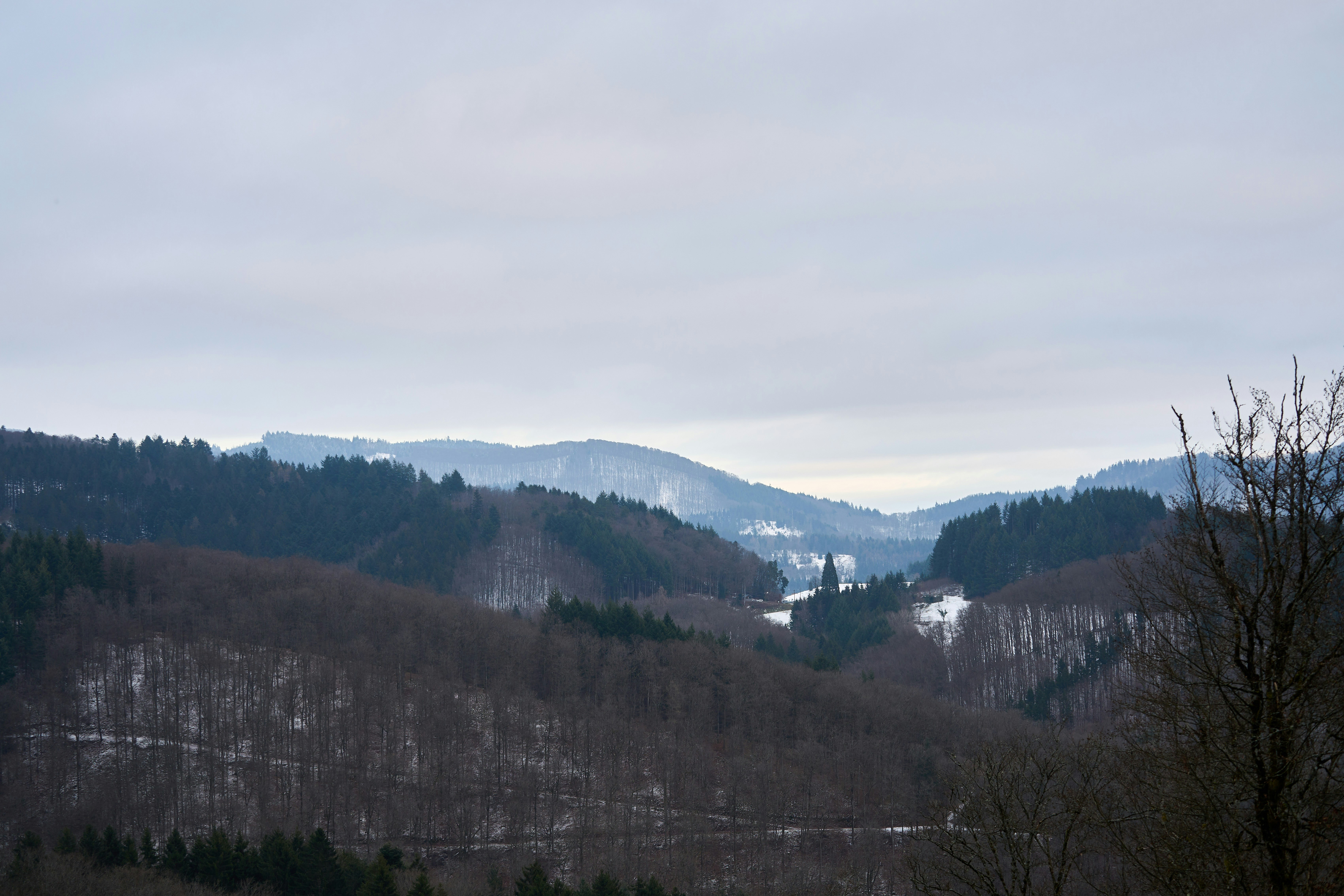 Photo by wolfgang_hasselmann