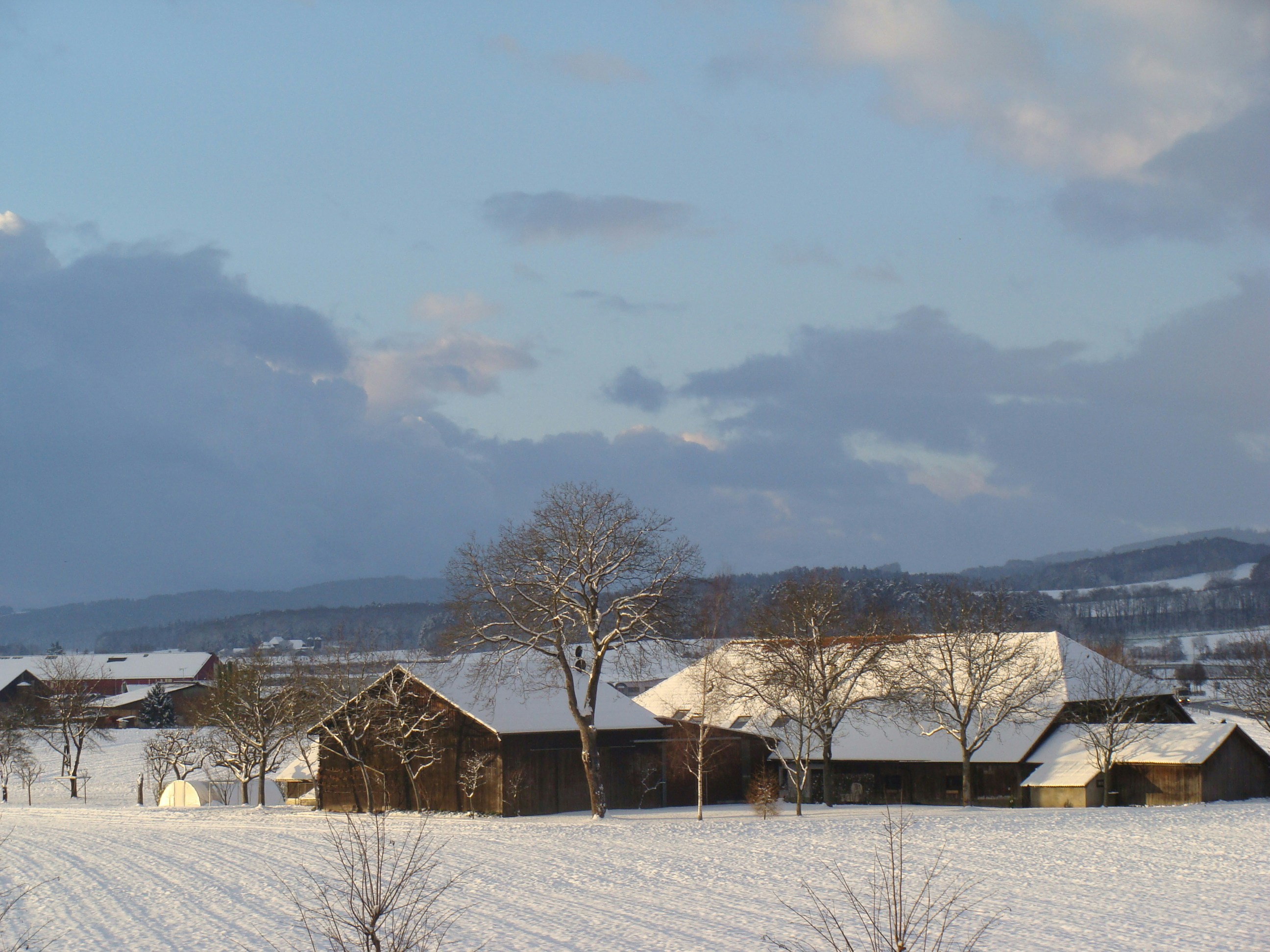 Photo by william_ducret